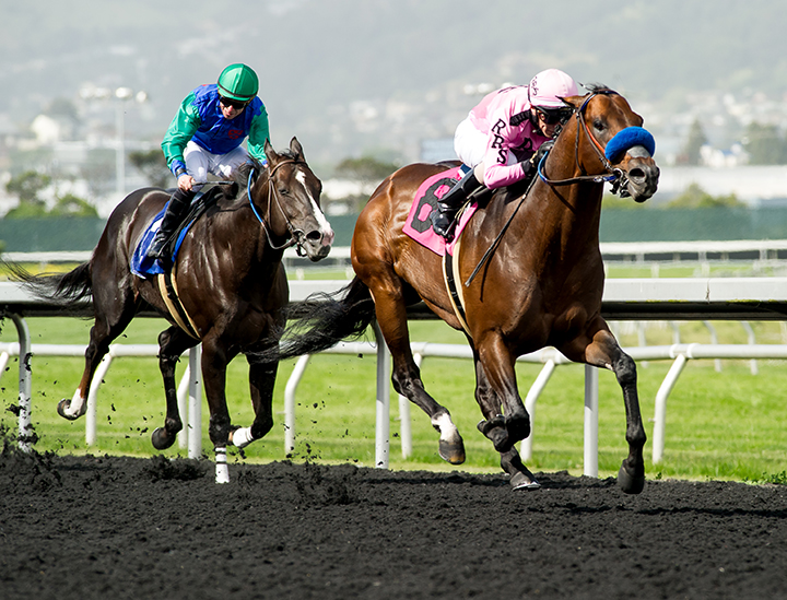 Anyportinastorm wins the Lost in The Fog Stakes