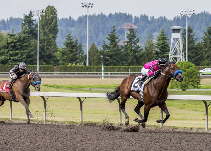 Anyportinastorm wins the 2019 Governors Stakes at Emerald Downs