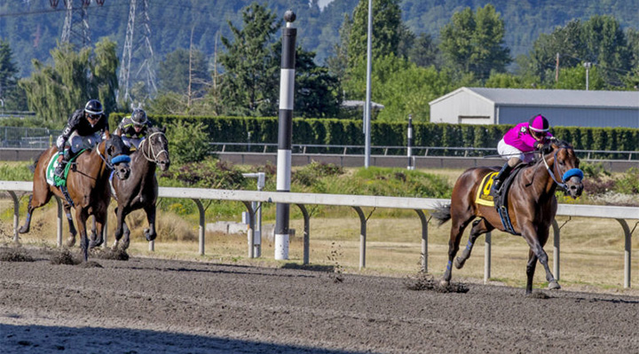 Anyportinastorm wins the 2019 Budweiser Handicap at Emerald Downs