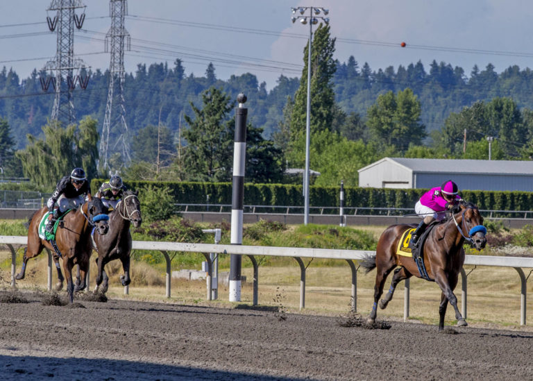 Anyportinastorm wins the 2019 Budweiser Stakes