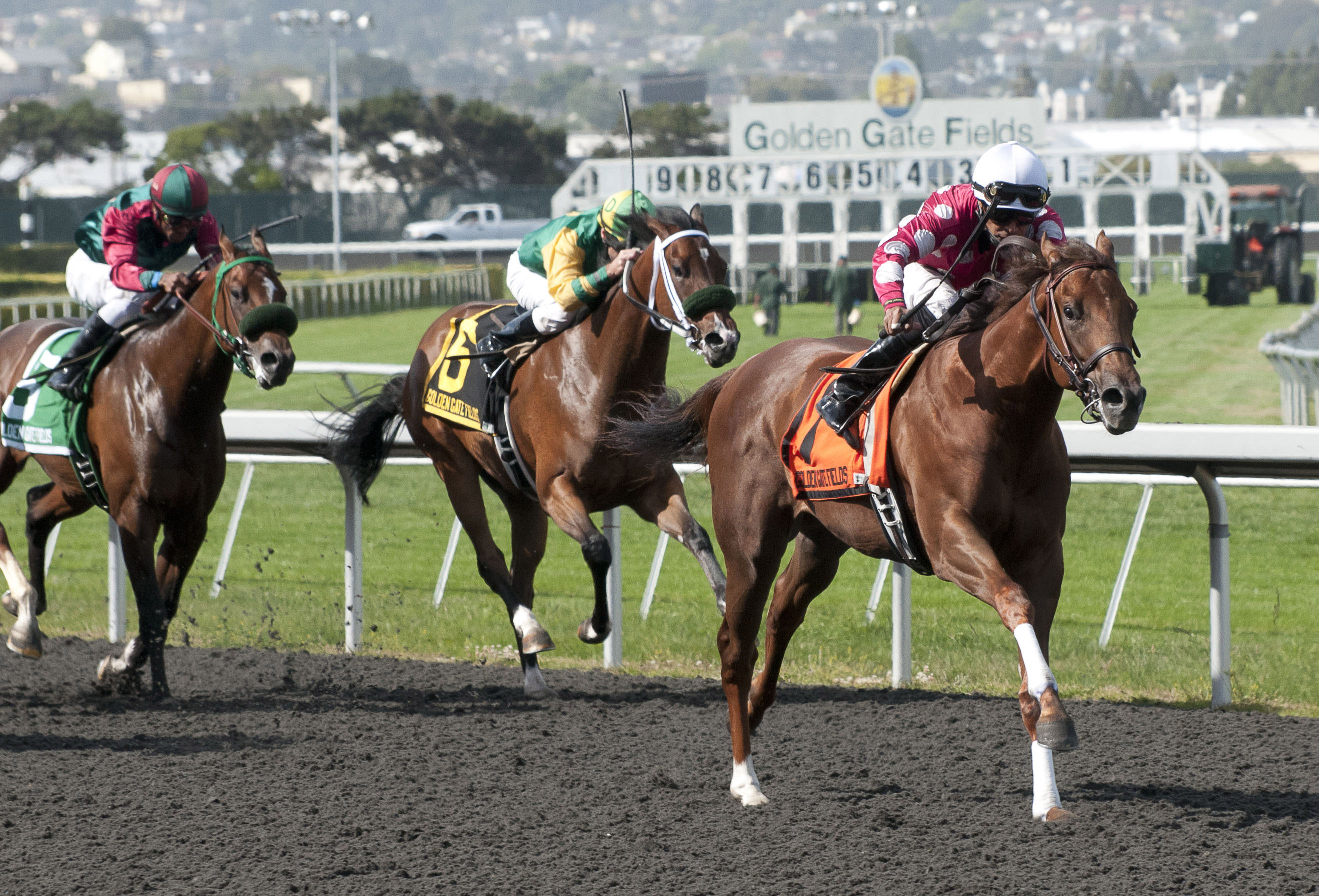 Anytime Magic/Lost in the Fog Stakes