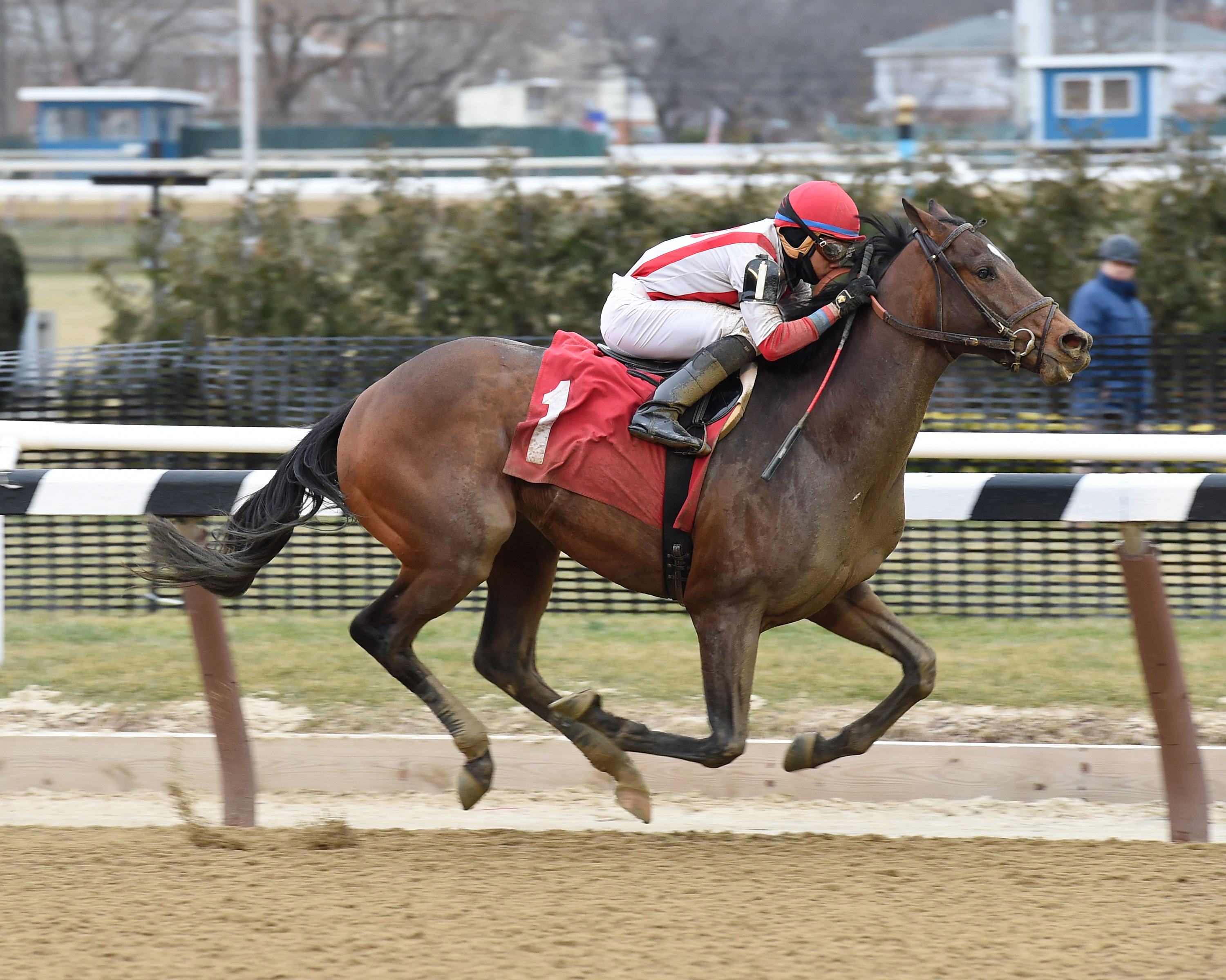 Apartfromthecrowd wins a maiden race