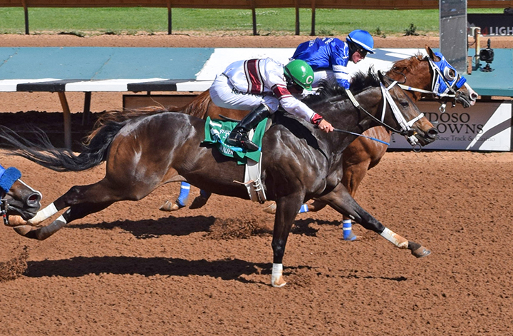 Apocalyptical Jess wins the 2019 Ruidoso Derby