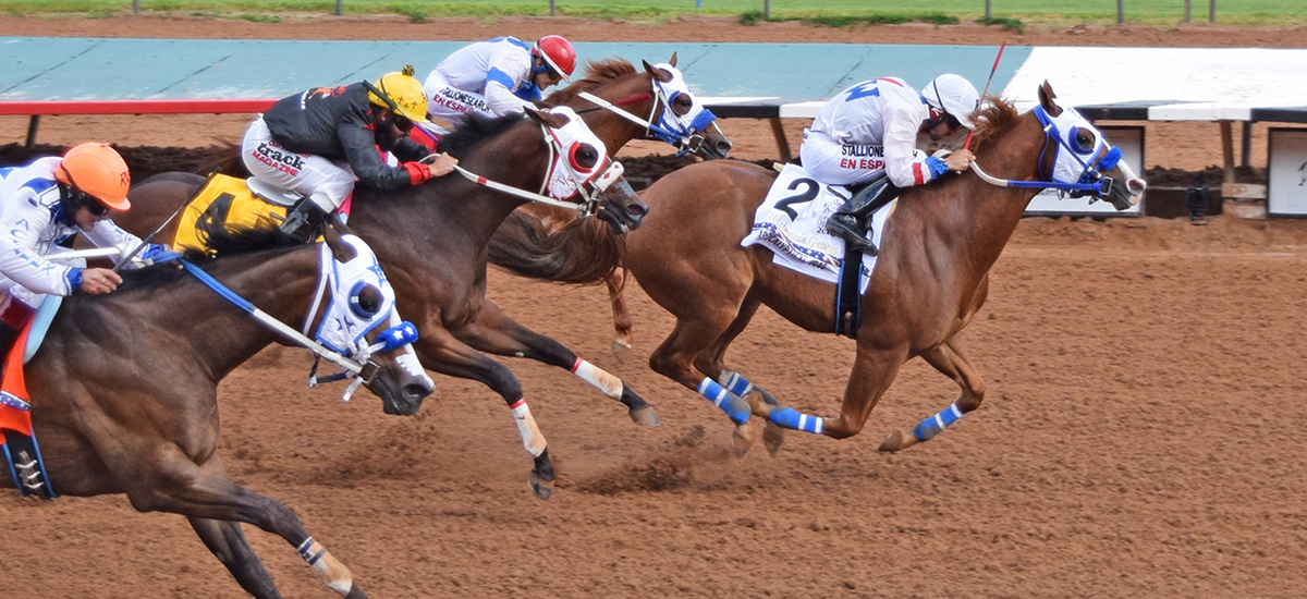 Apocalyptical Jess wins the All American Futurity for Quarter Horses