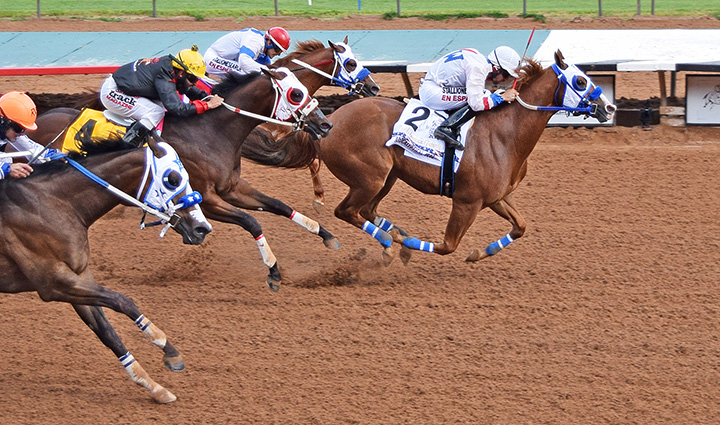 Apocalyptical Jess wins the All American Futurity