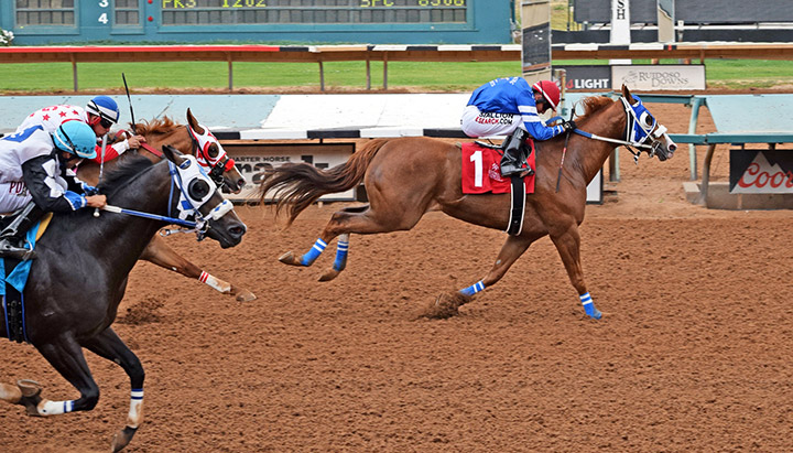 Apocalyptical Jess wins a 2019 Rainbow Derby trial at Ruidoso Downs