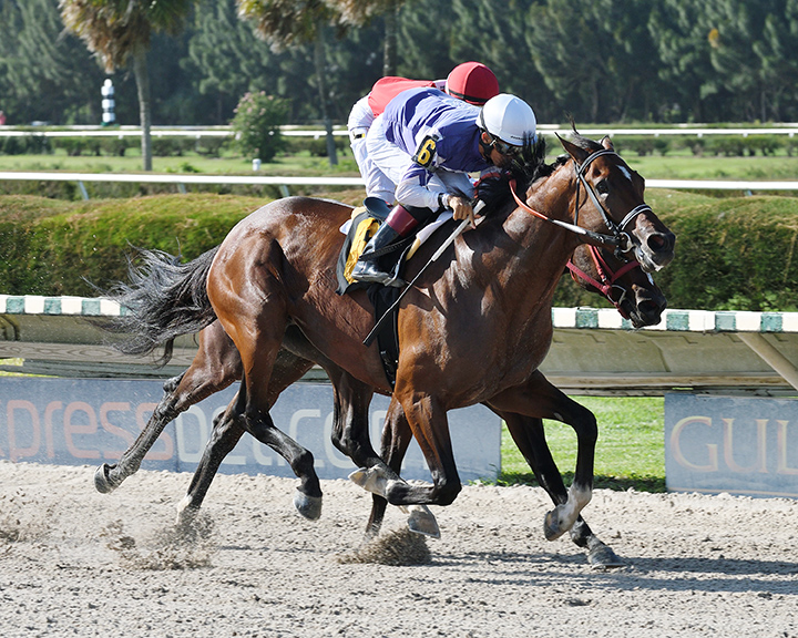 Apostle wins an Oct. 3 maiden race