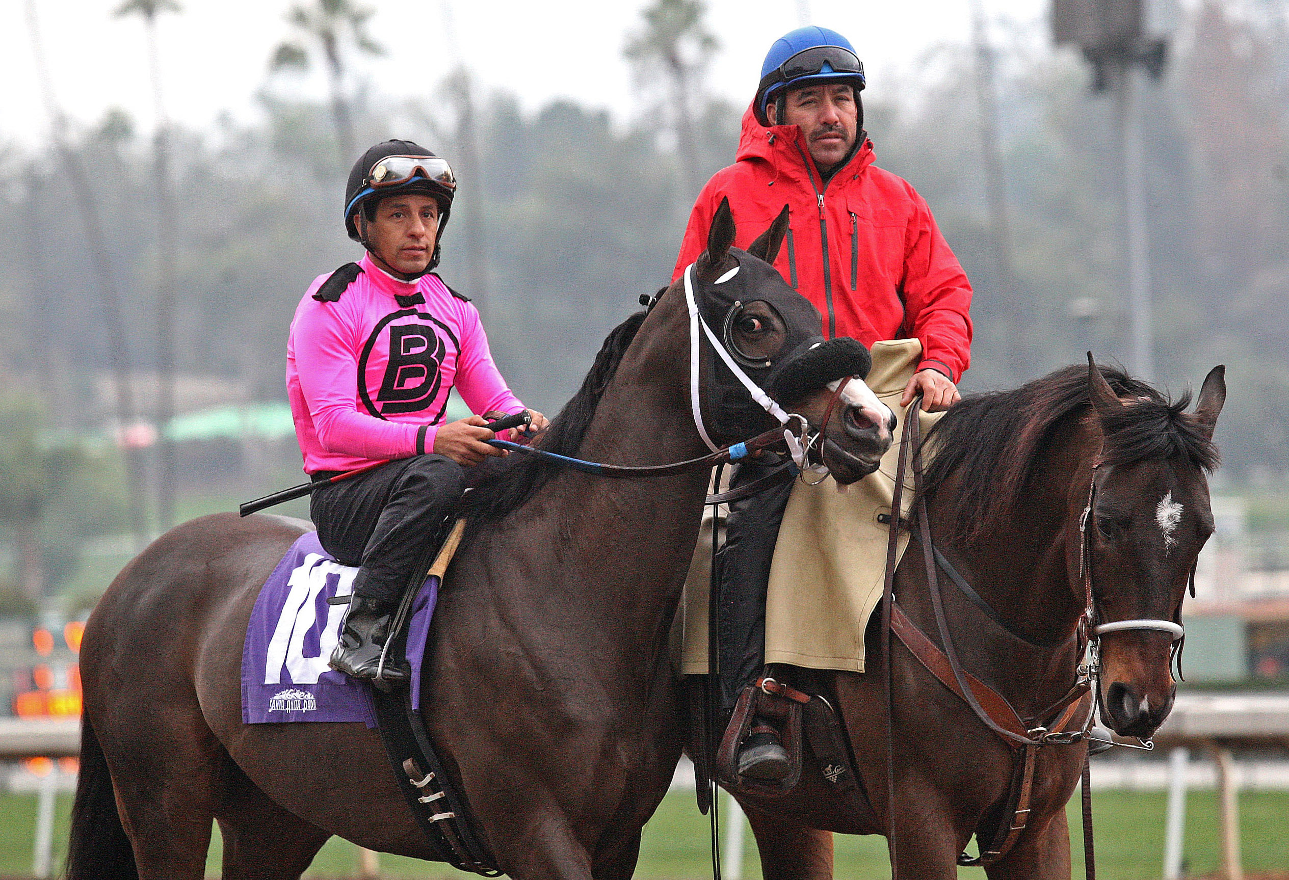 Appealing Tale at the San Pasqual
