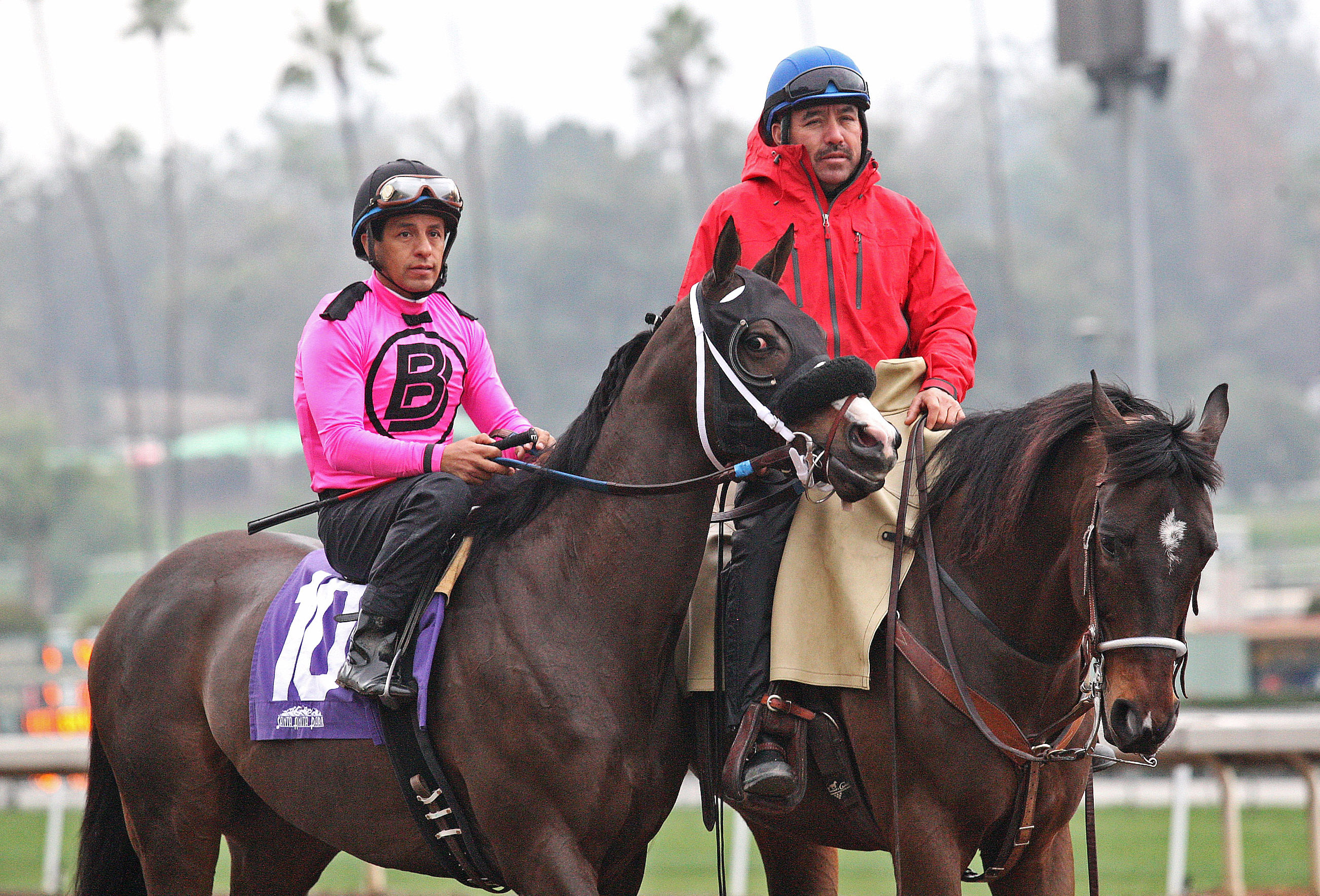 Appealing Tale at the San Pasqual Stakes