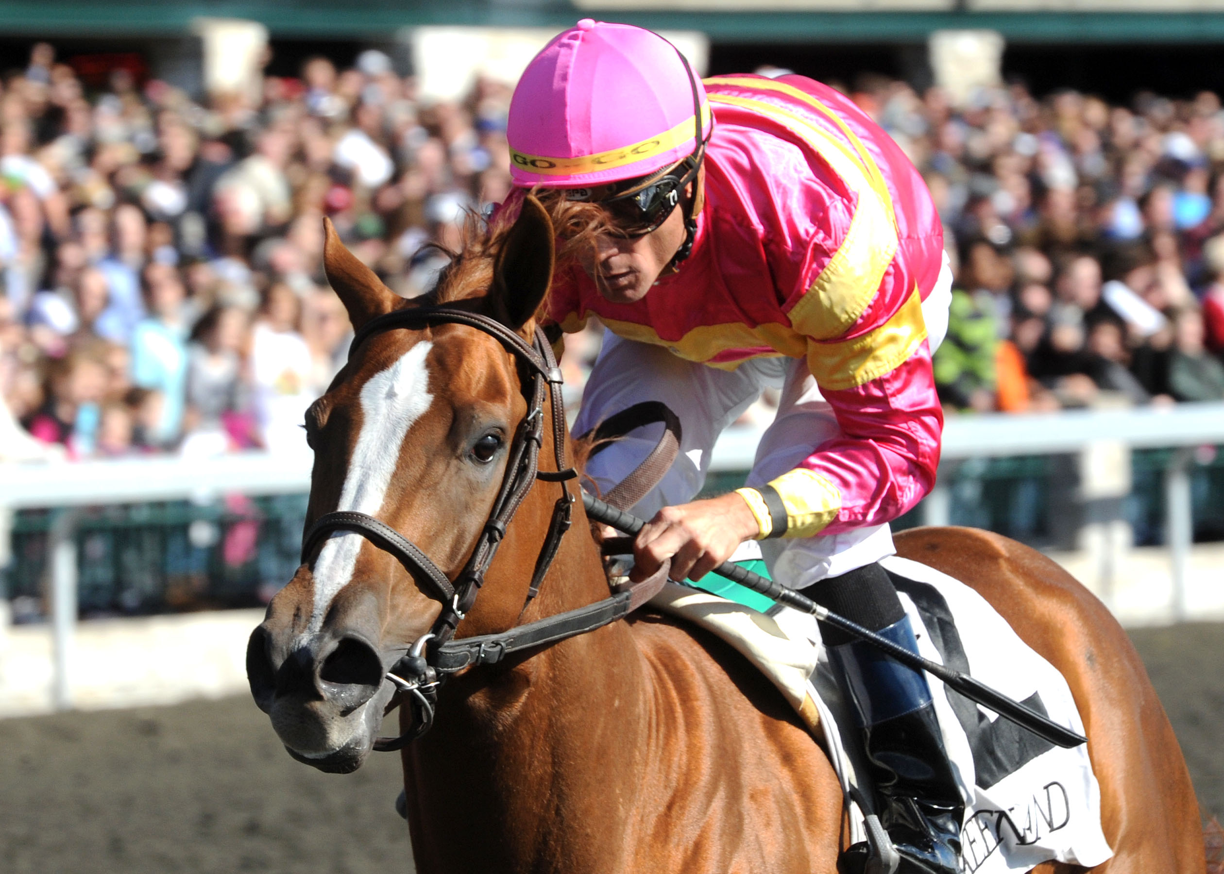 Applauding, Oct. 14, 2011, Keeneland