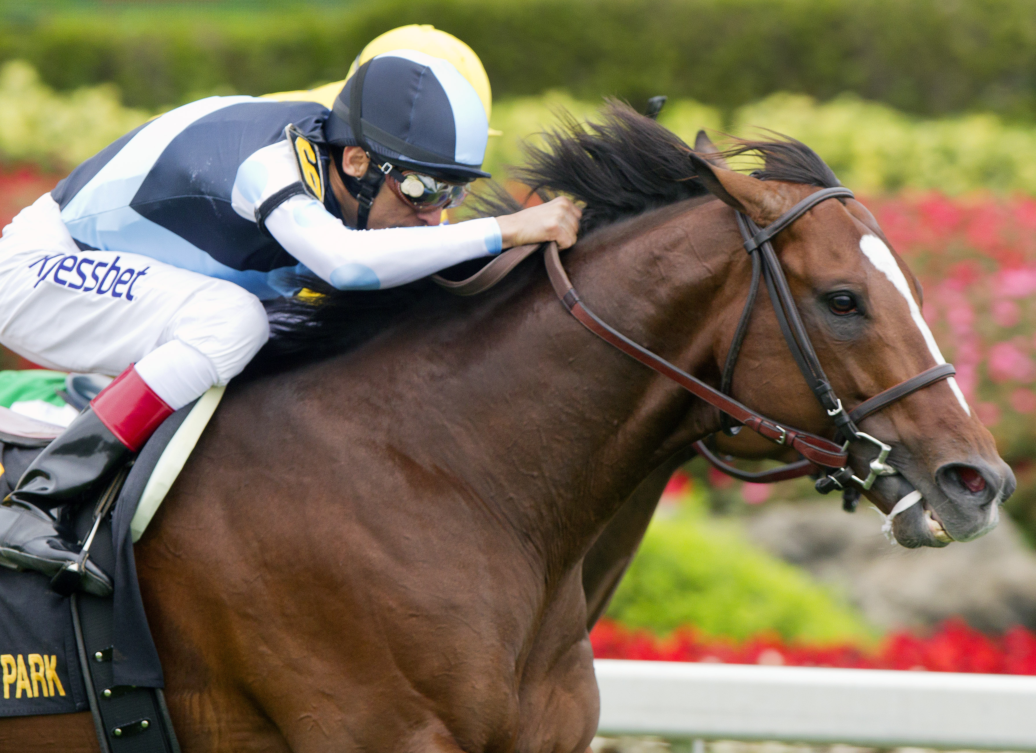 War Correspondent wins 2015 Appleton