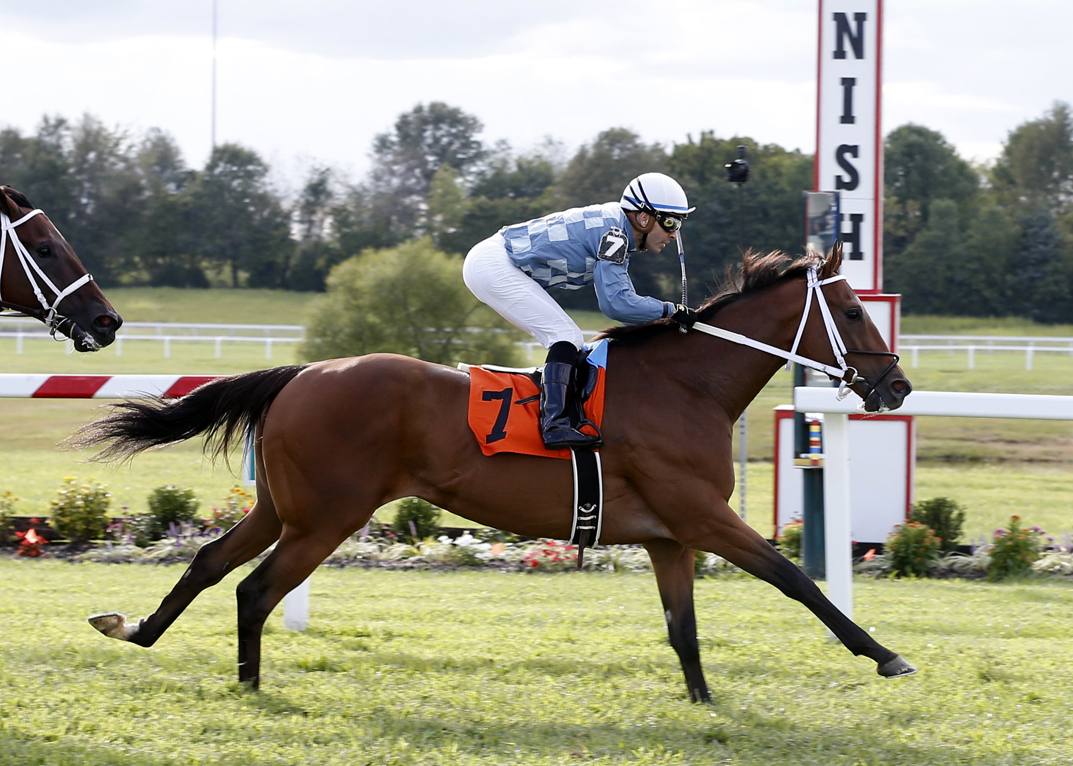 Applicator wins the Tourist Stakes 9.6.17
