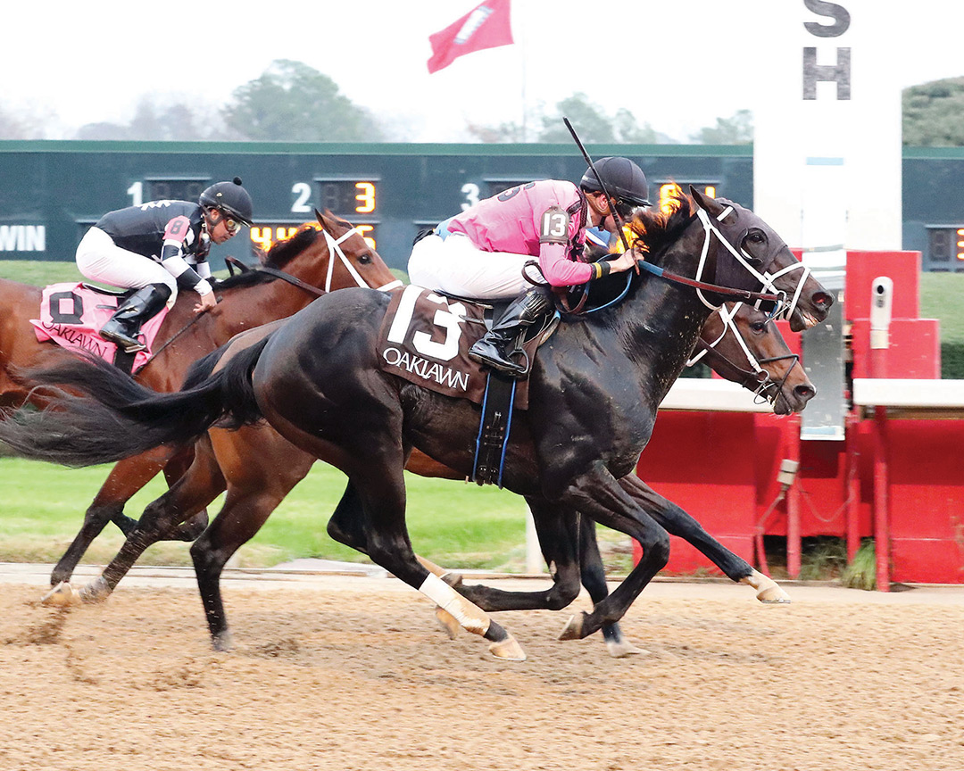Apprehend (13) wins a Dec. 31 maiden race at Oaklawn Park