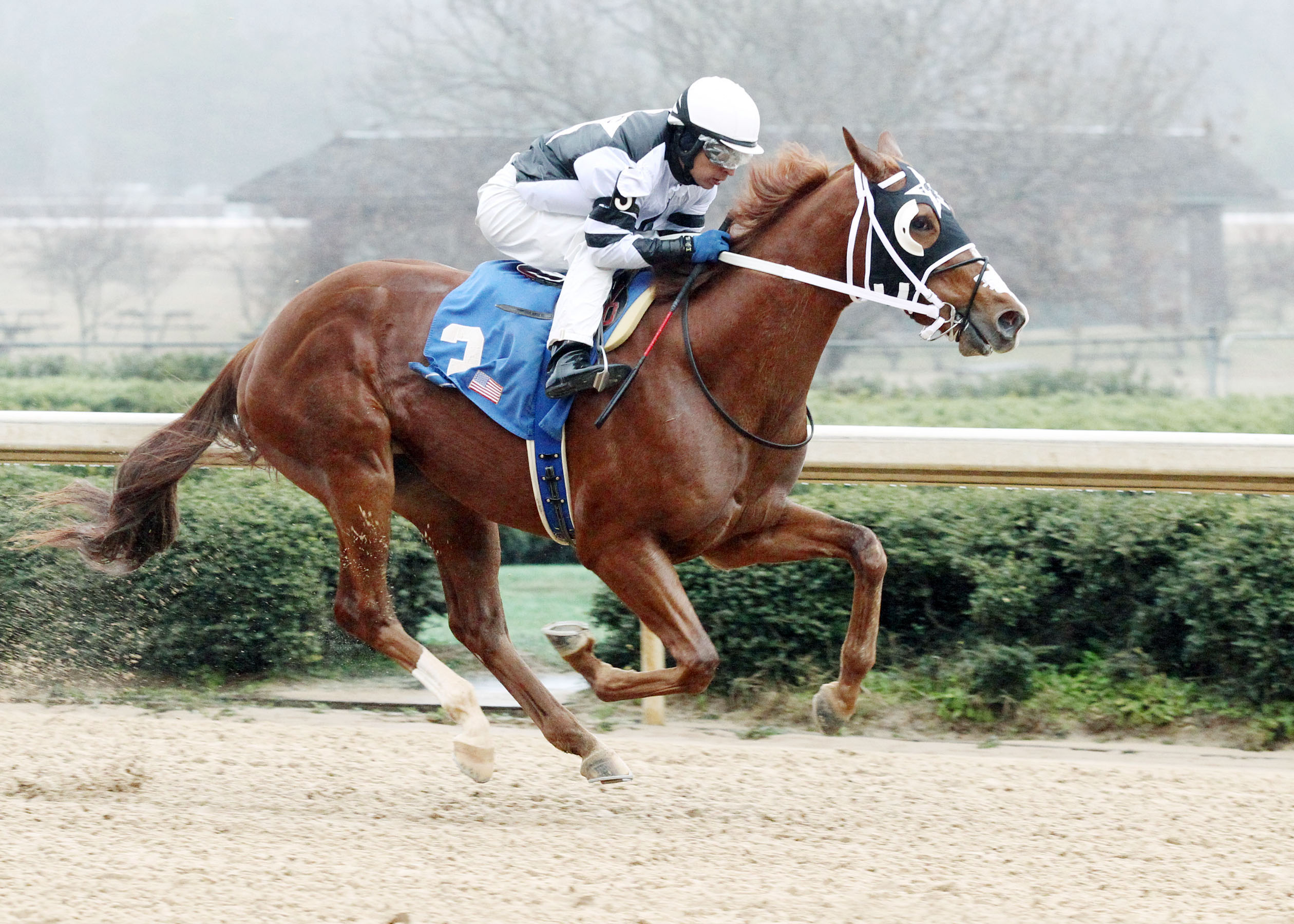 Apprehender, Jan. 26, 2012