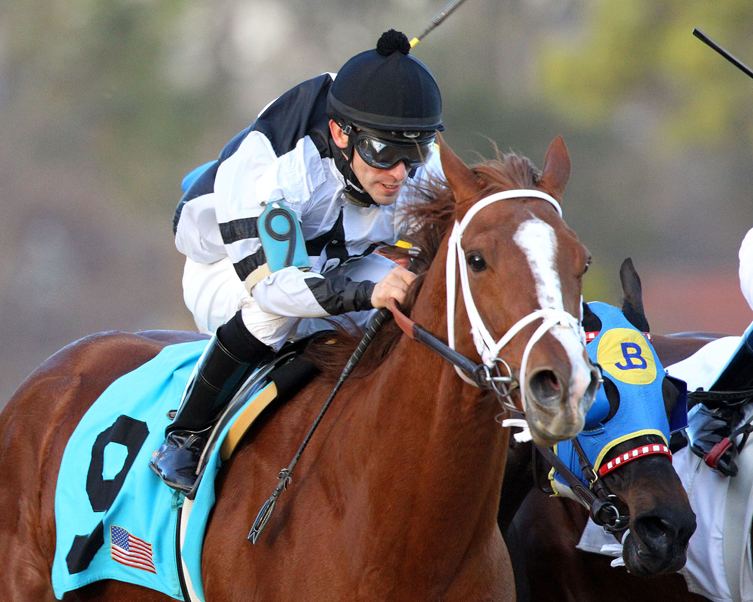 Apprehender wins the 2014 King Cotton Stakes