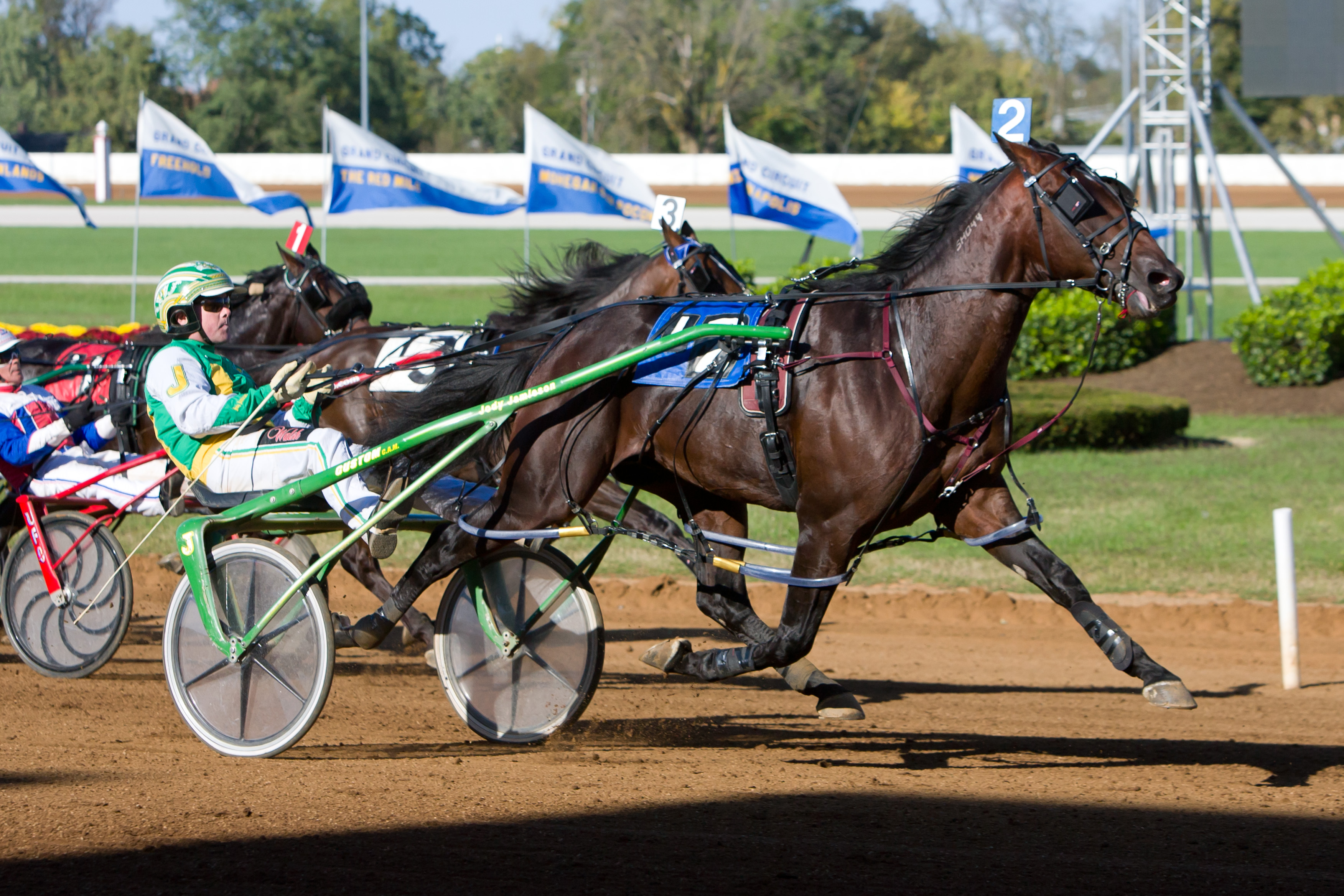 Apprentice Hanover