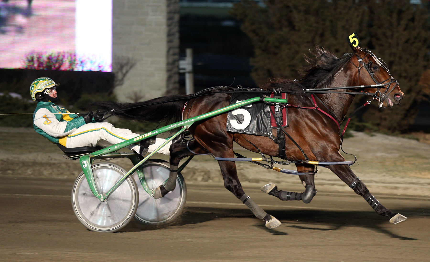Apprentice Hanover_Woodbine