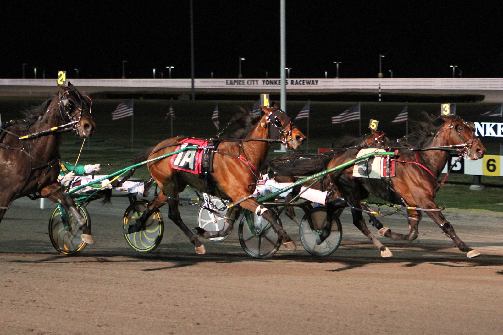 Apprentice Hanover_Levy