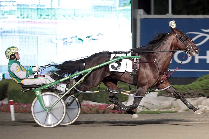 Apprentice Hanover