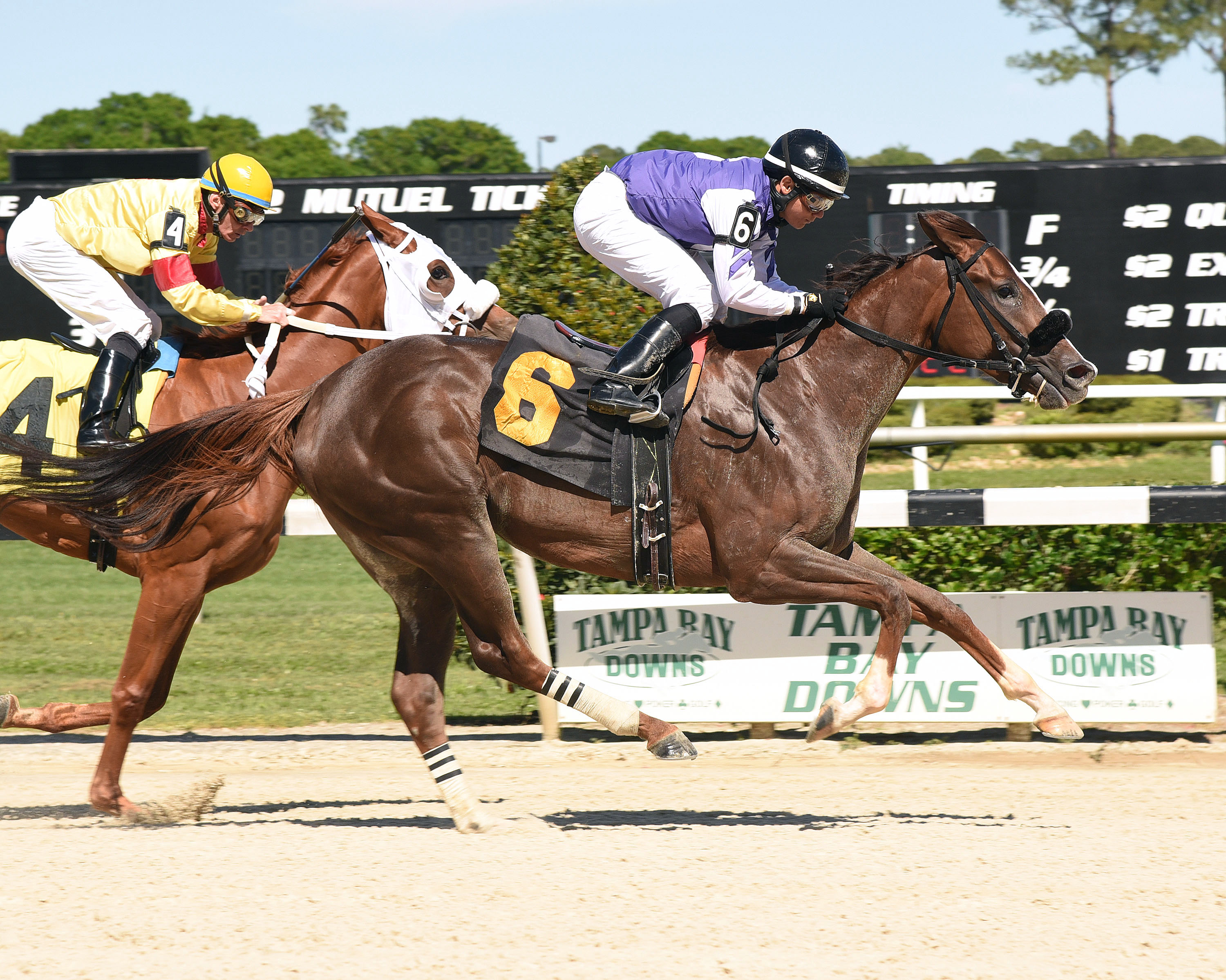 April Gaze wins the Sophomore Fillies Stakes at Tampa Bay Downs