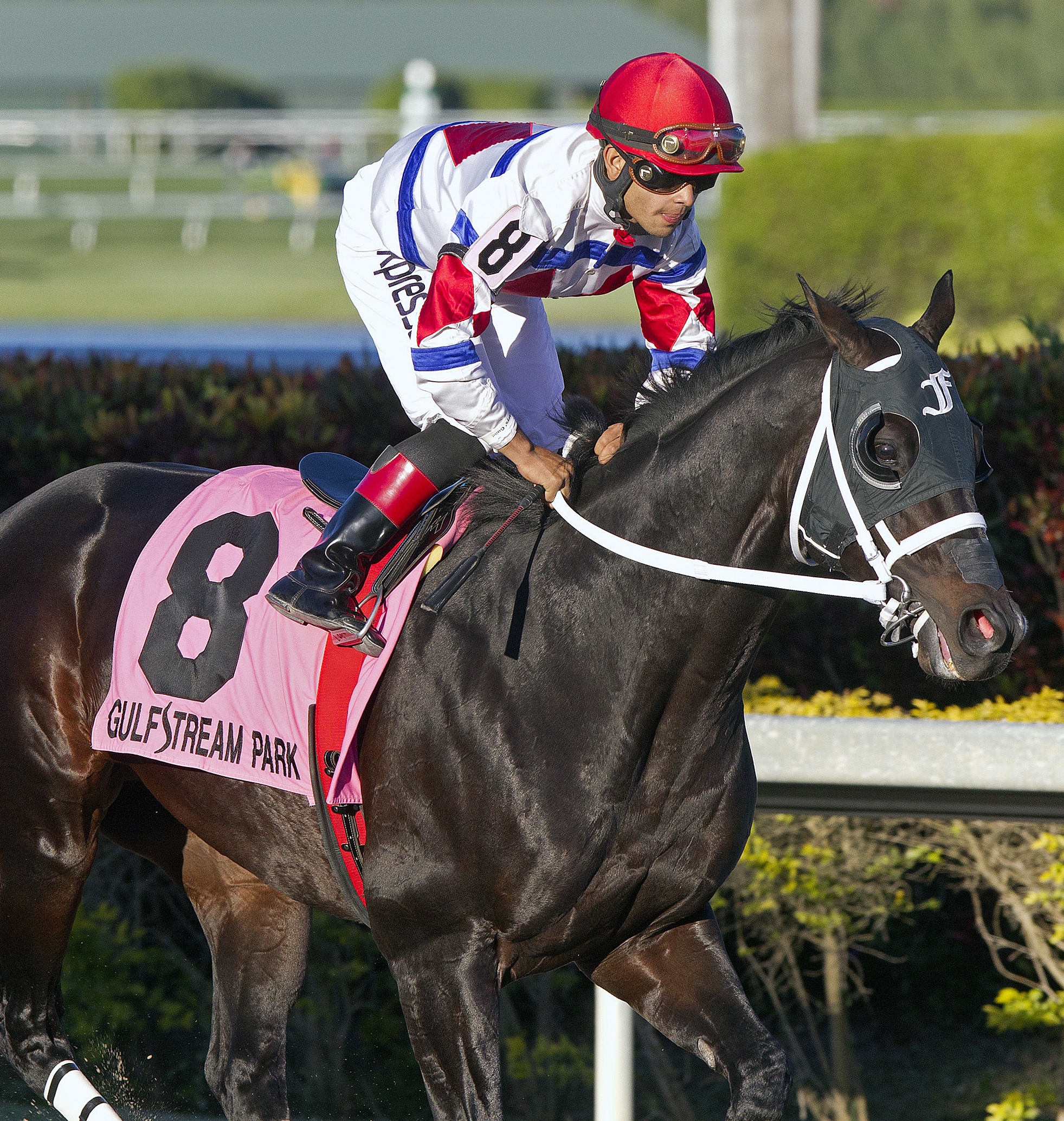 Apriority finishes ninth in the Florida Sunshine Millions Sprint