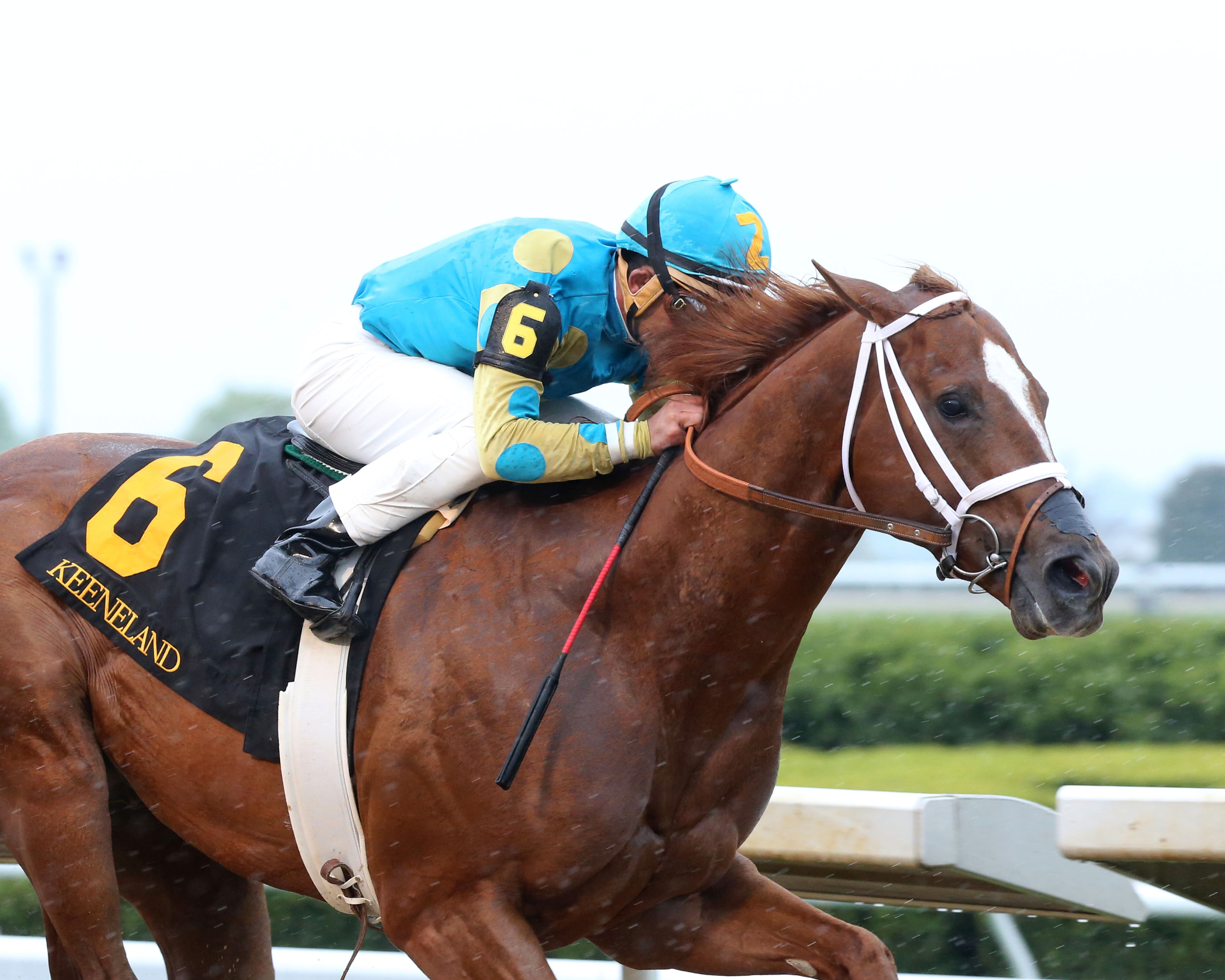 Aquamarine wins an April 22 allowance race at Keeneland