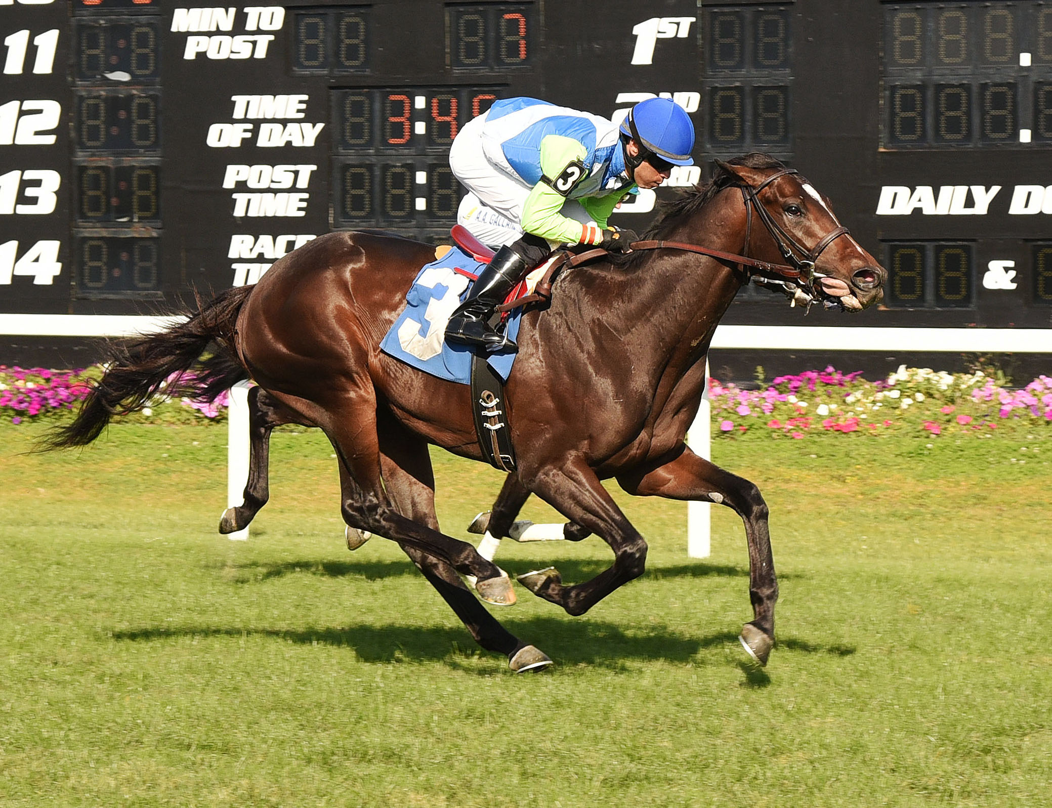 Aquaphobia wins a maiden race