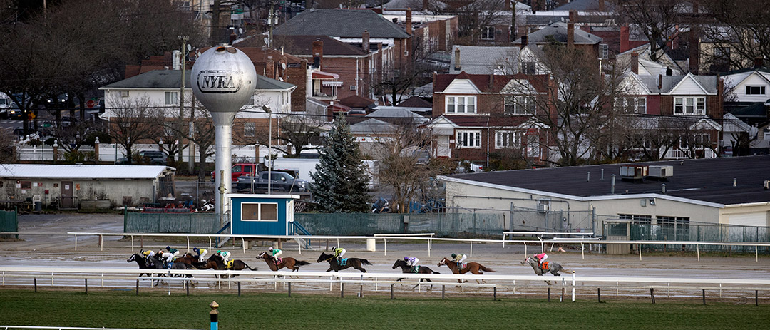 Racing at Aqueduct Racetrack, December 5
