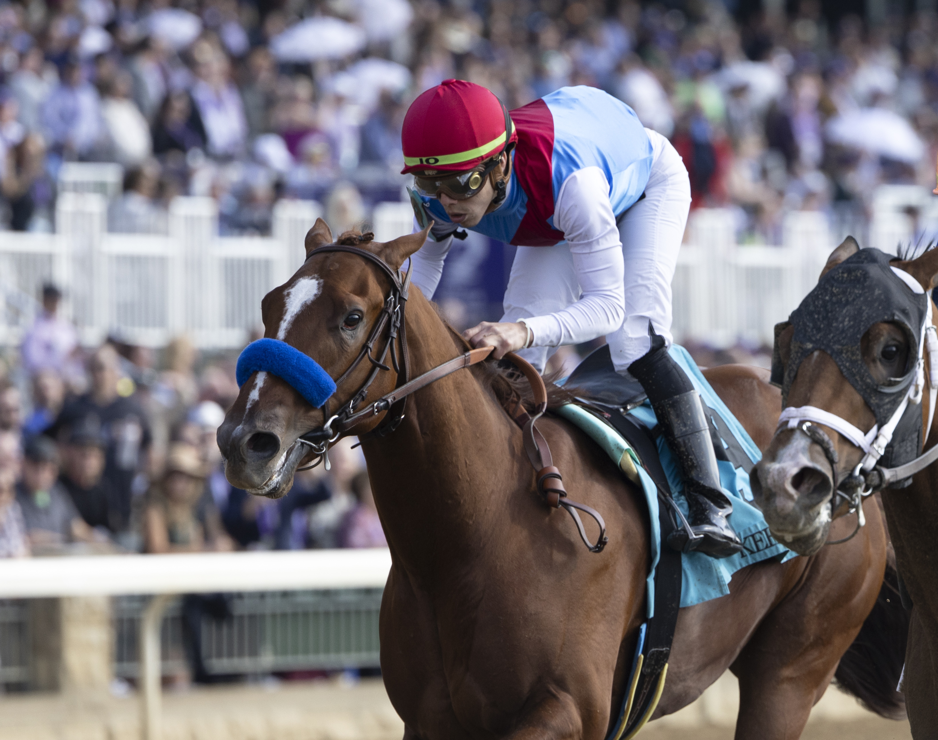 Arabian Lion - Keeneland