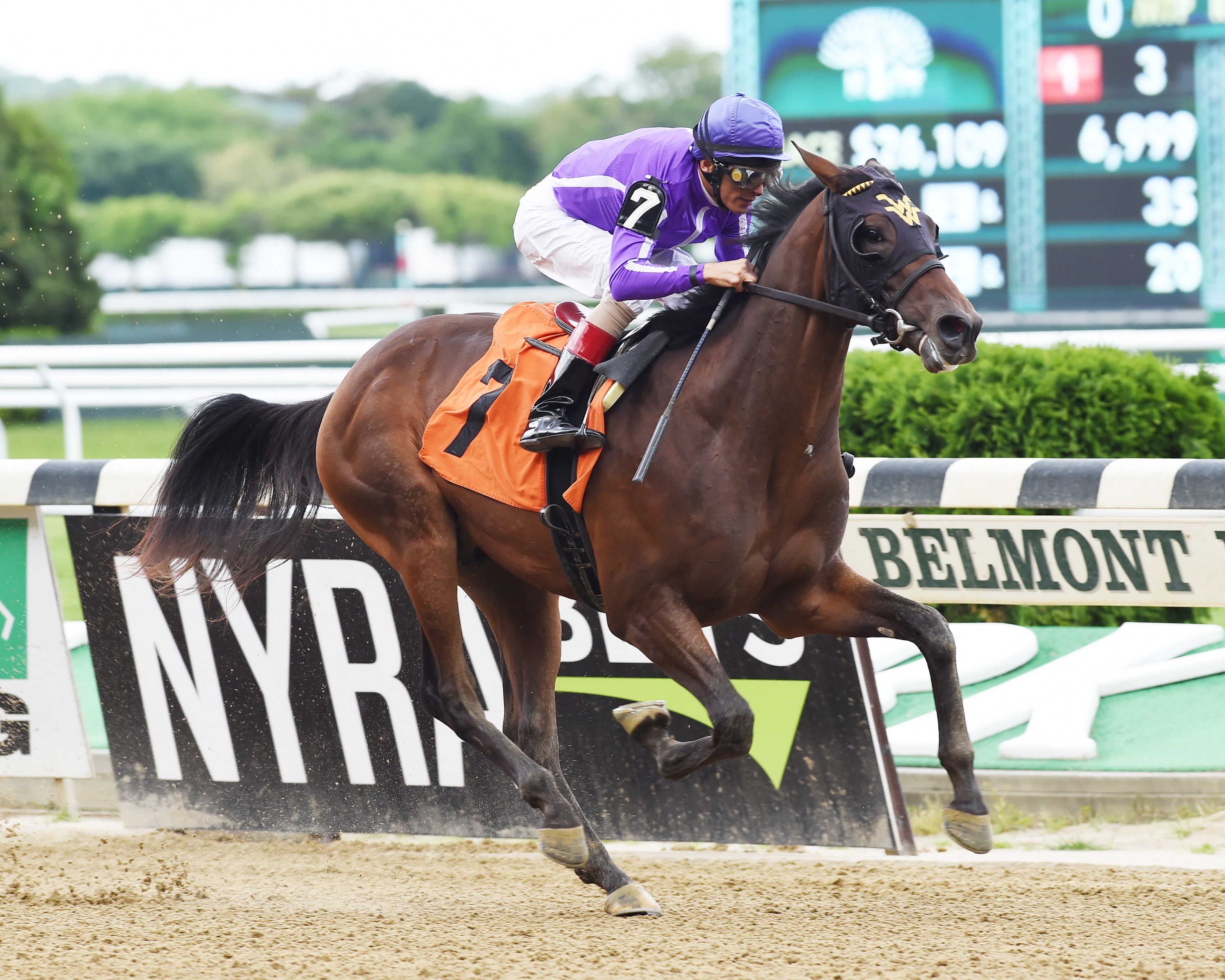 Arawak wins a maiden race