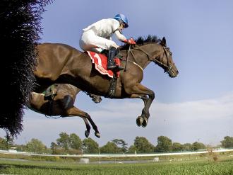 Arcadius - Eclipse Awards