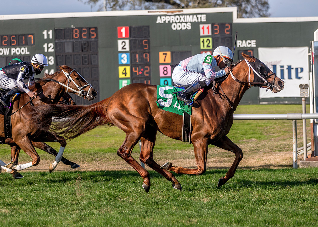 Archidust wins the 2020 Richard R. Scherer Memorial Stakes at Fair Grounds