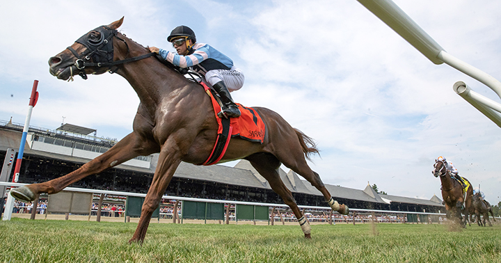 Archidust wins the 2019 Mahony Stakes at Saratoga Race Course