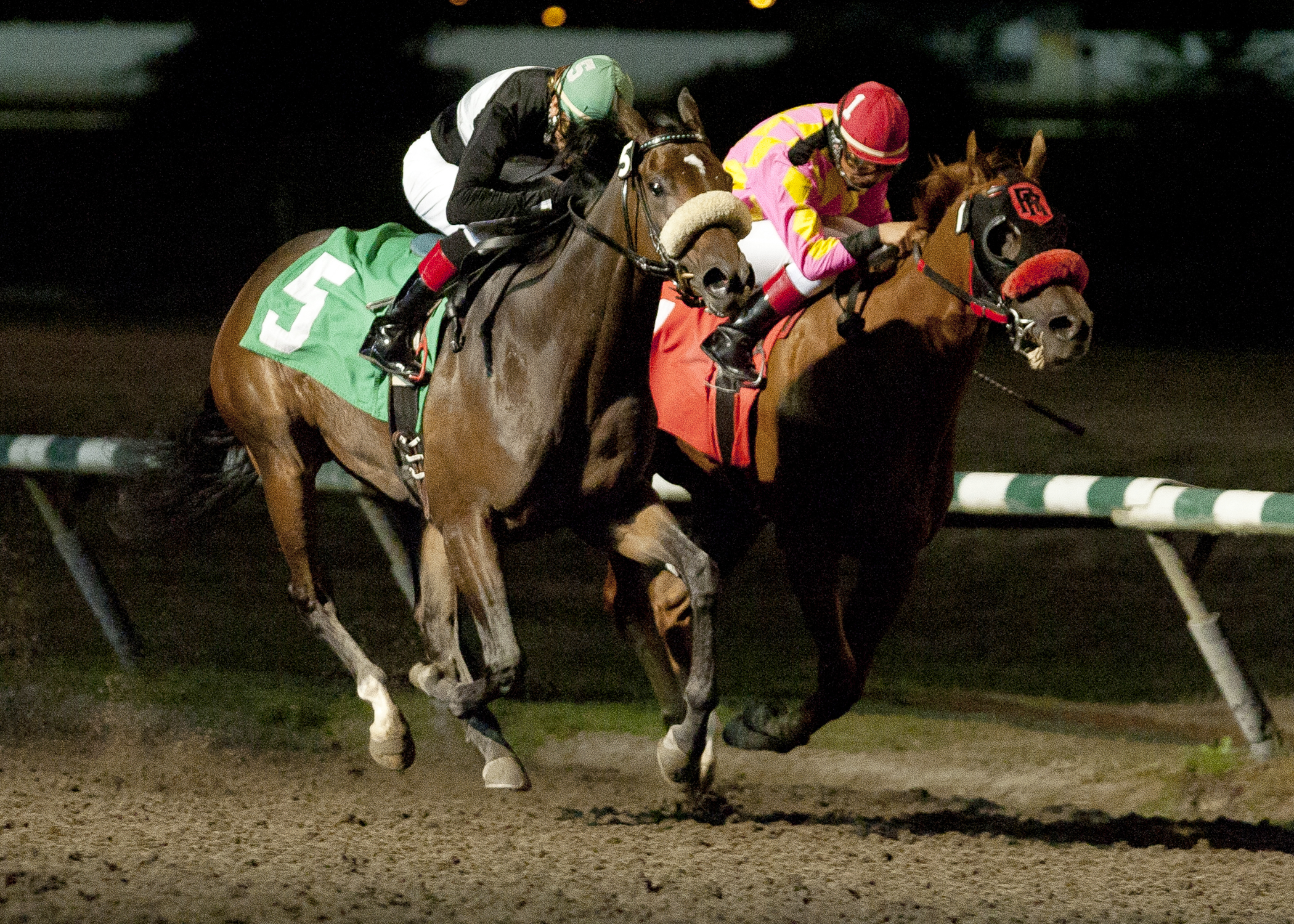 Elusive Lily loses to Architecture in the 2013 CTHS Sales Stakes