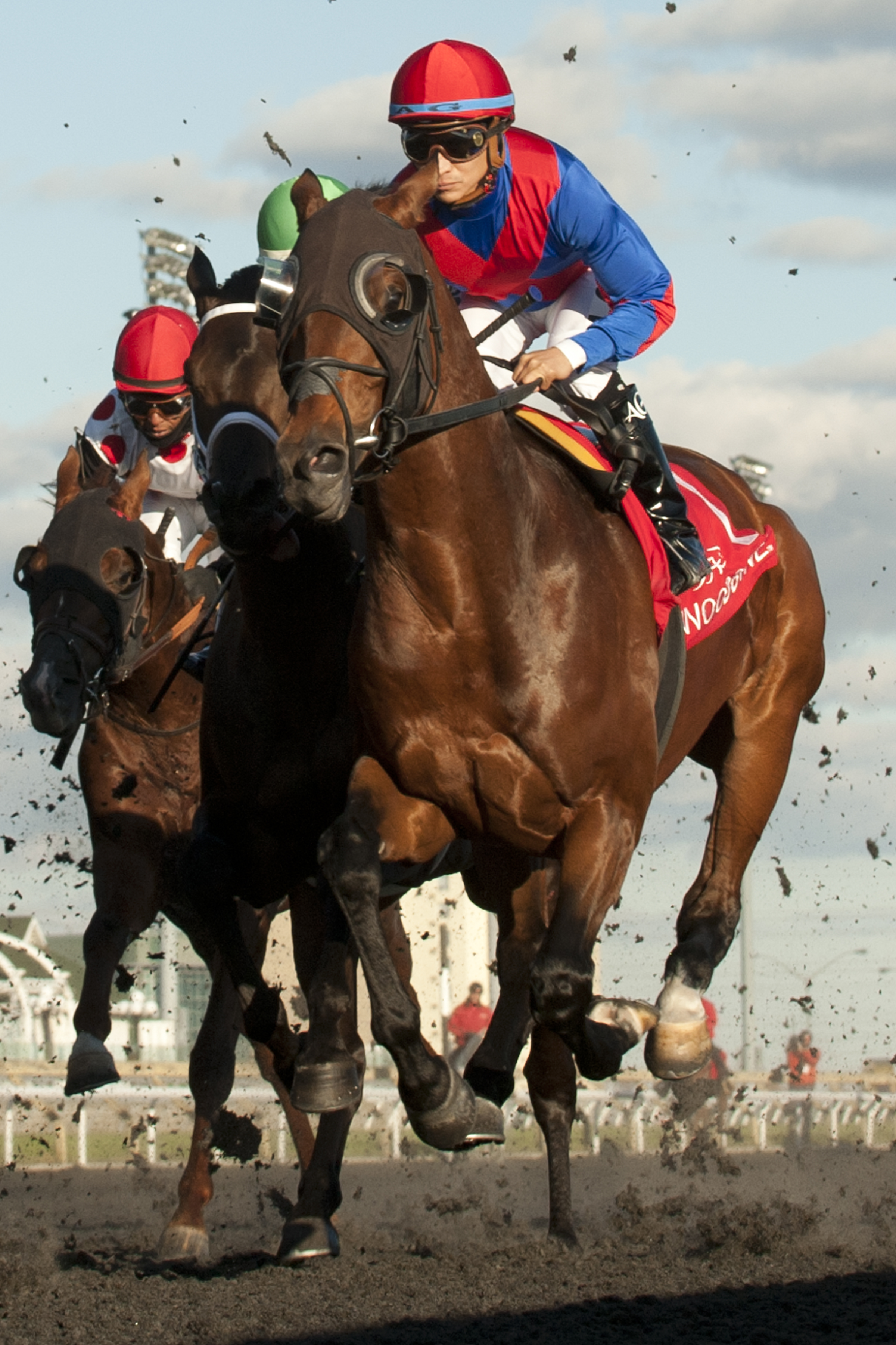 Are You Kidding Me wins 2015 Autumn
