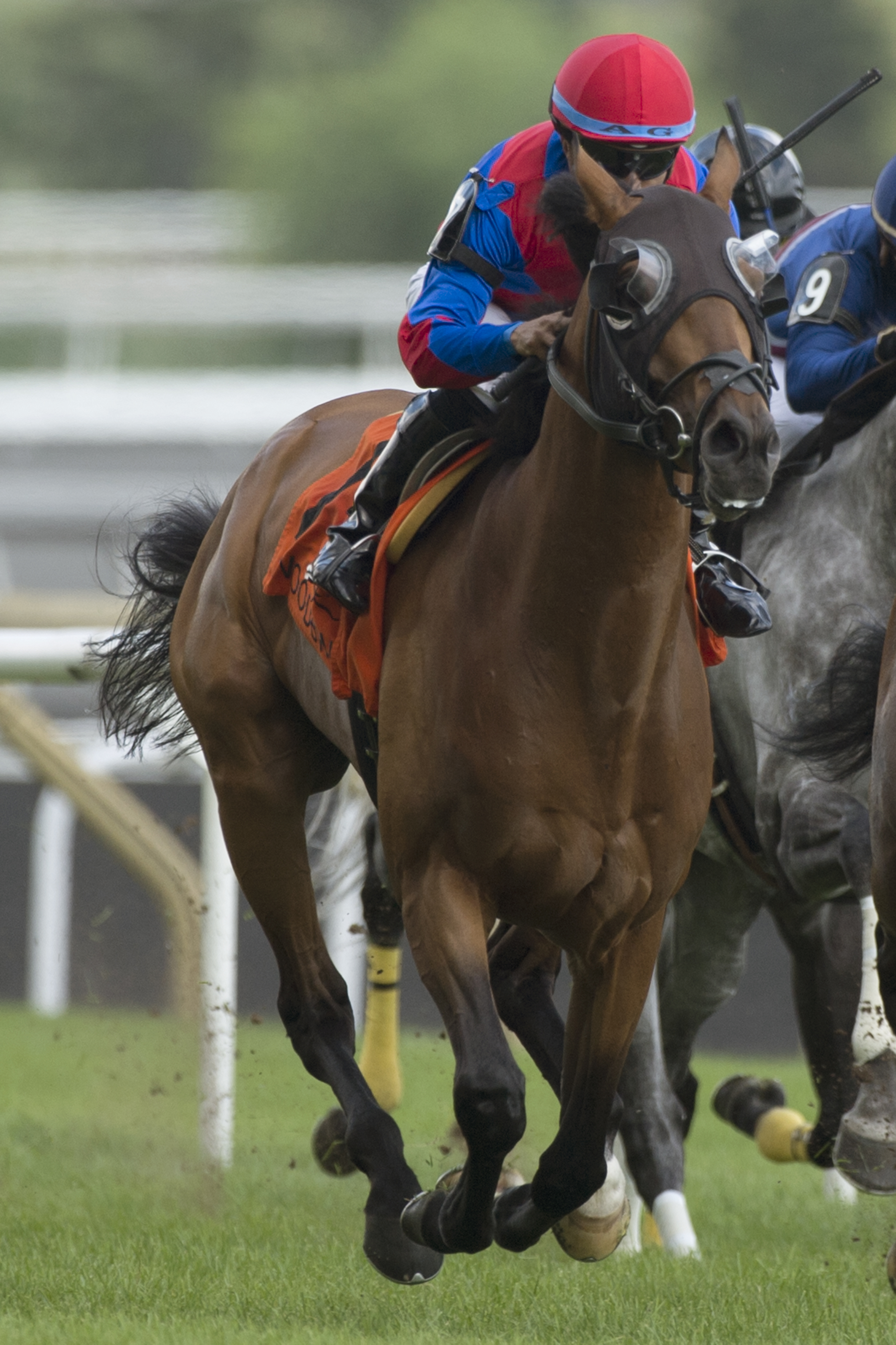 Are You Kidding Me wins 2015 Nijinsky