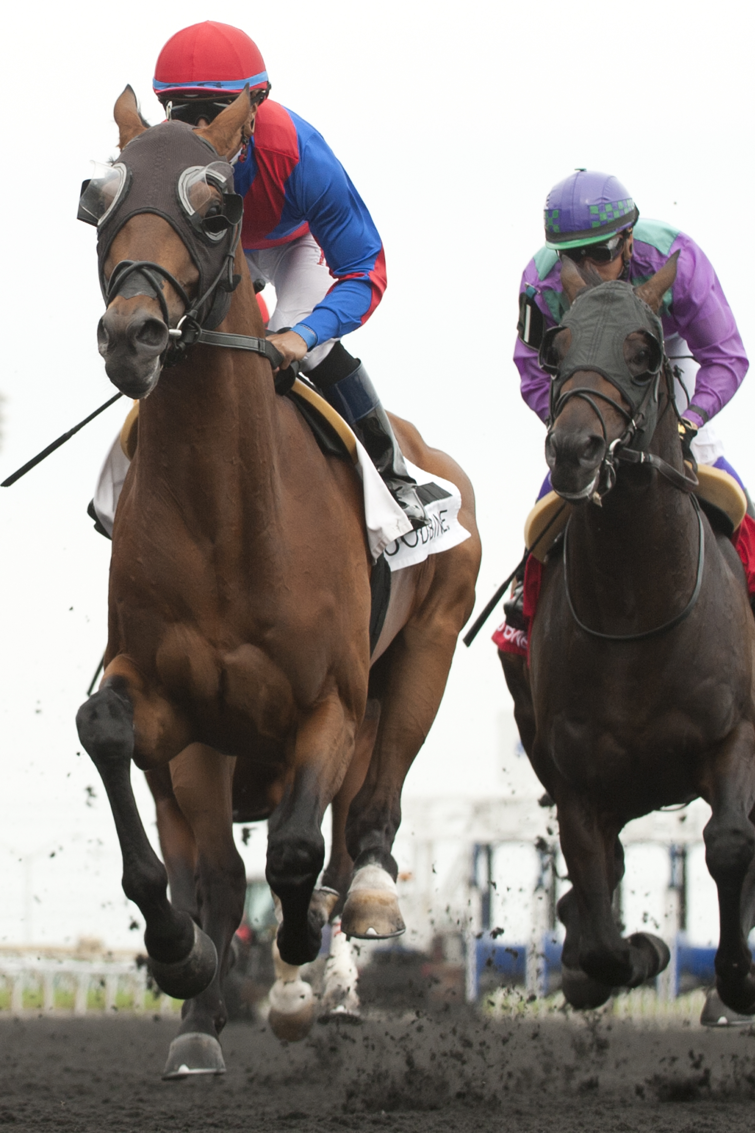 Are You Kidding Me wins 2015 Eclipse