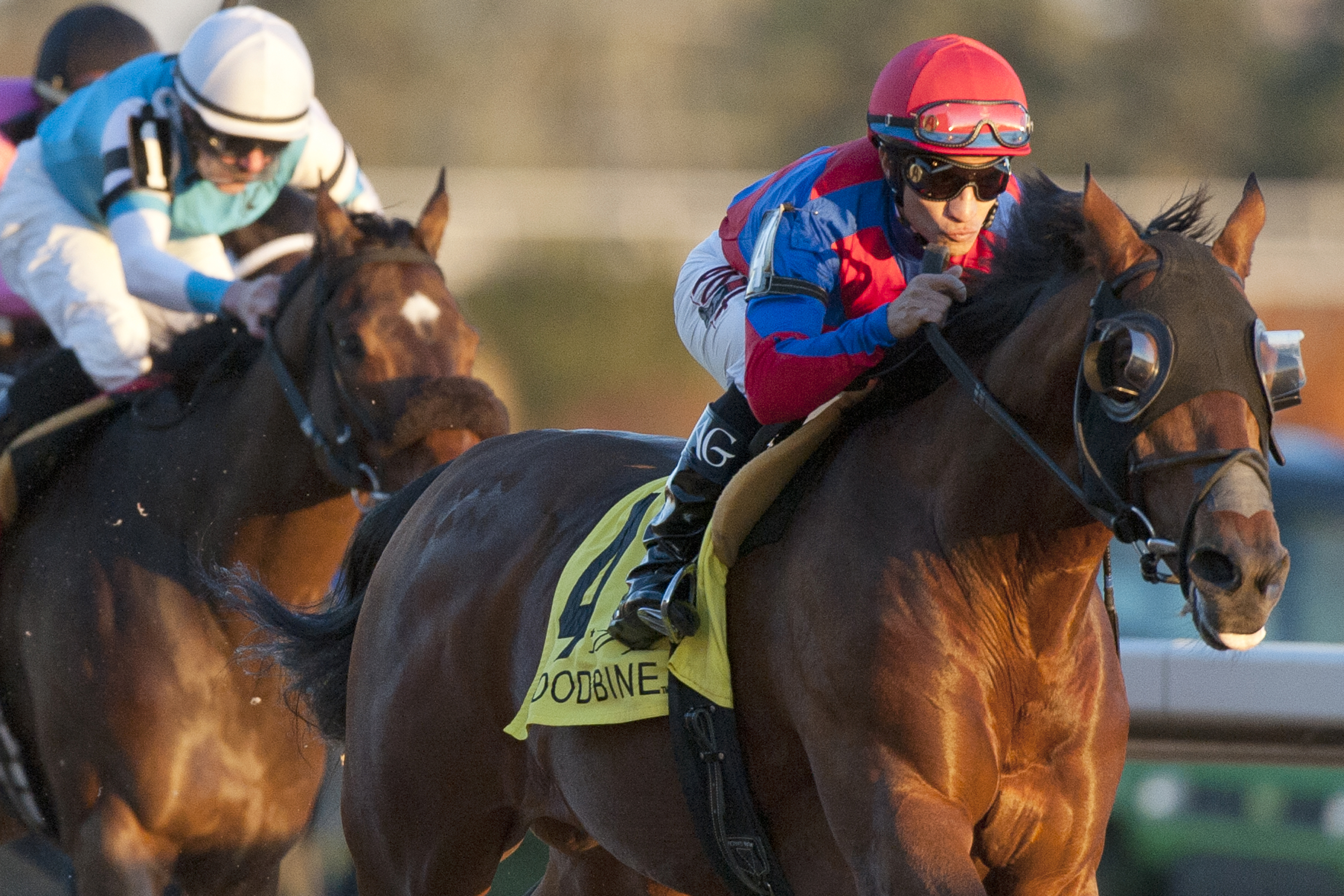 Are You Kidding Me wins the Autumn Stakes