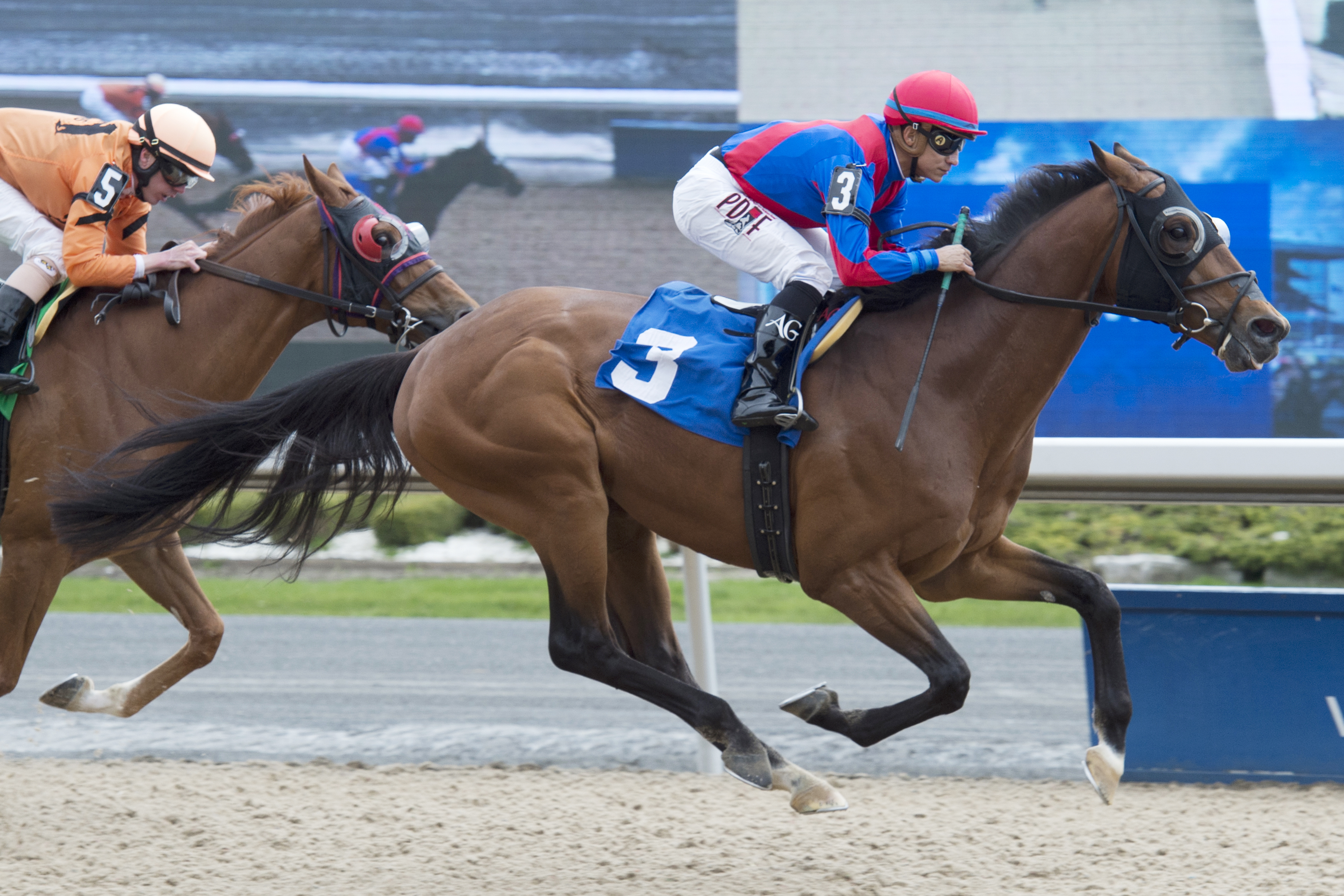 Are You Kidding Me wins an April 29 allowance at Woodbine
