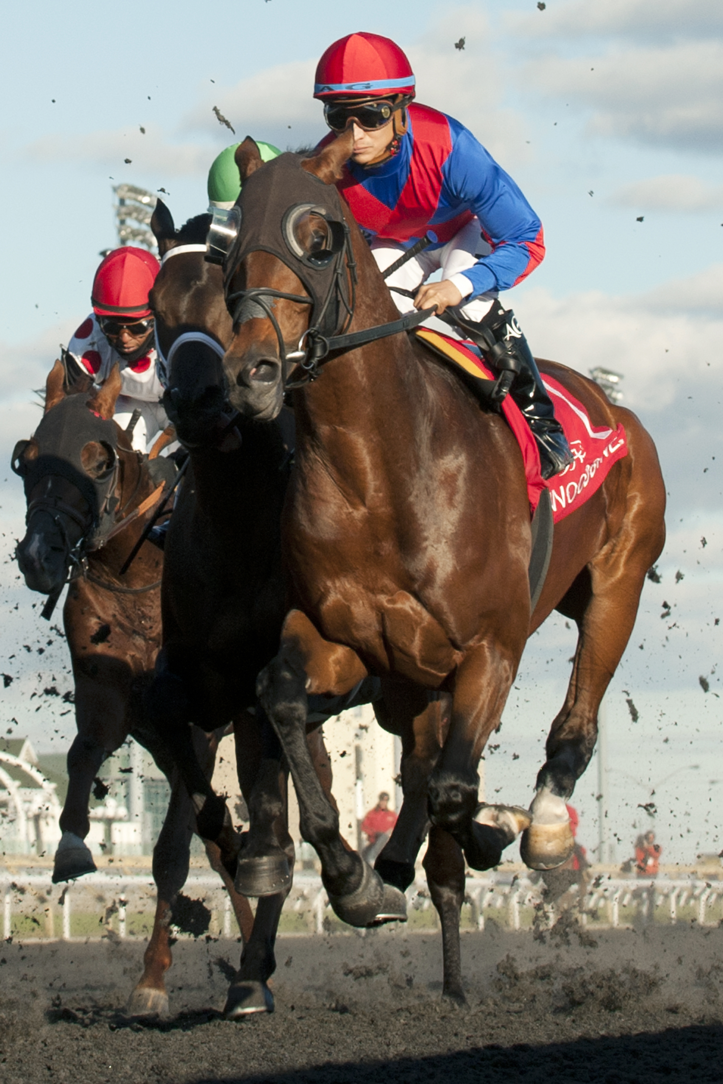 Are You Kidding Me wins the 2015 Autumn Stakes