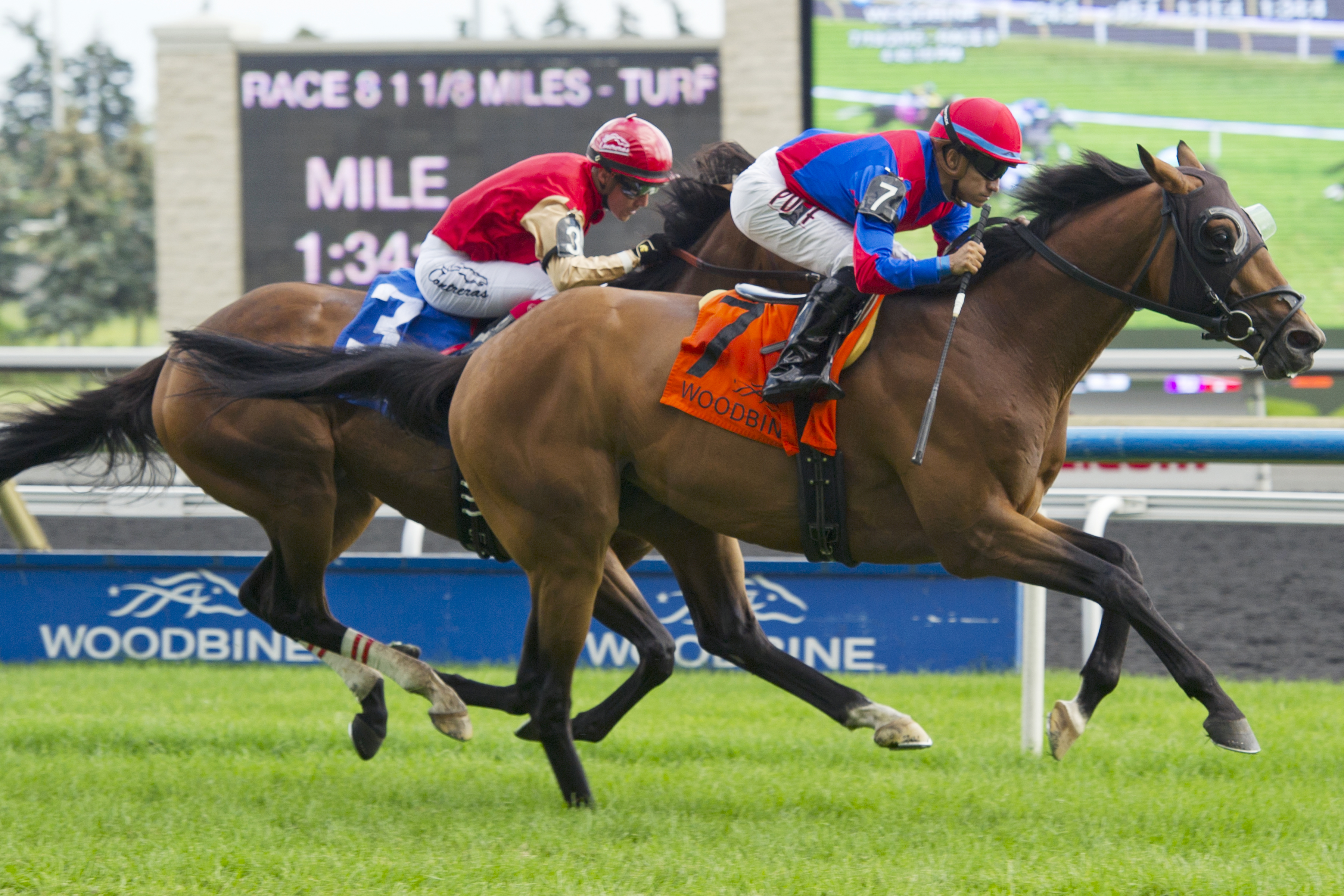 Are You Kidding Me wins the Nijinsky Stakes