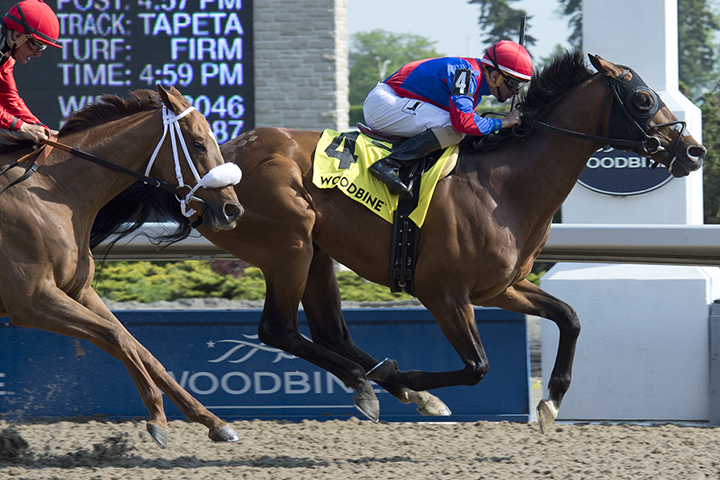 Are You Kidding Me wins the 2018 Eclipse Stakes