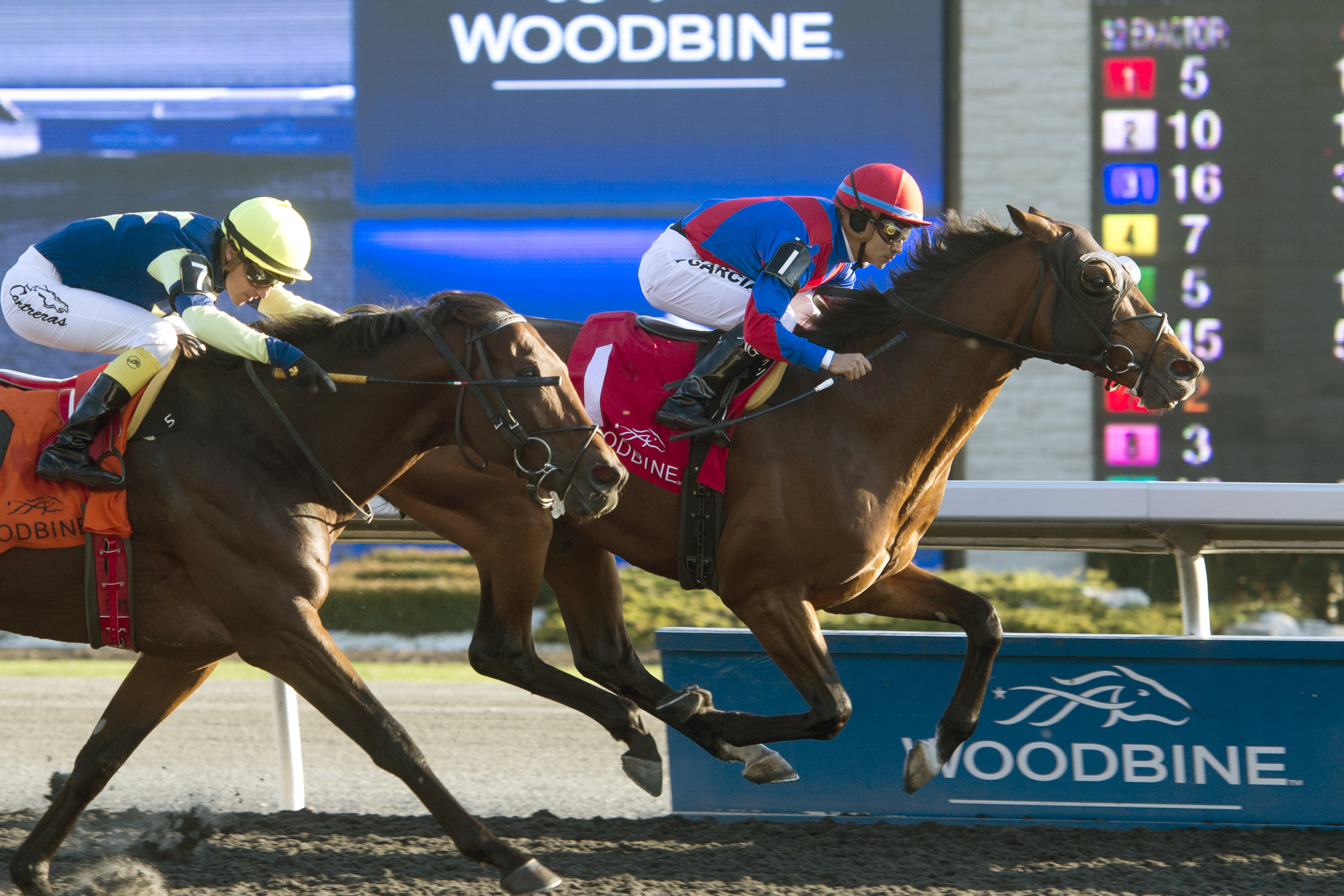 Are You Kidding Me wins the 2015 Autumn Stakes