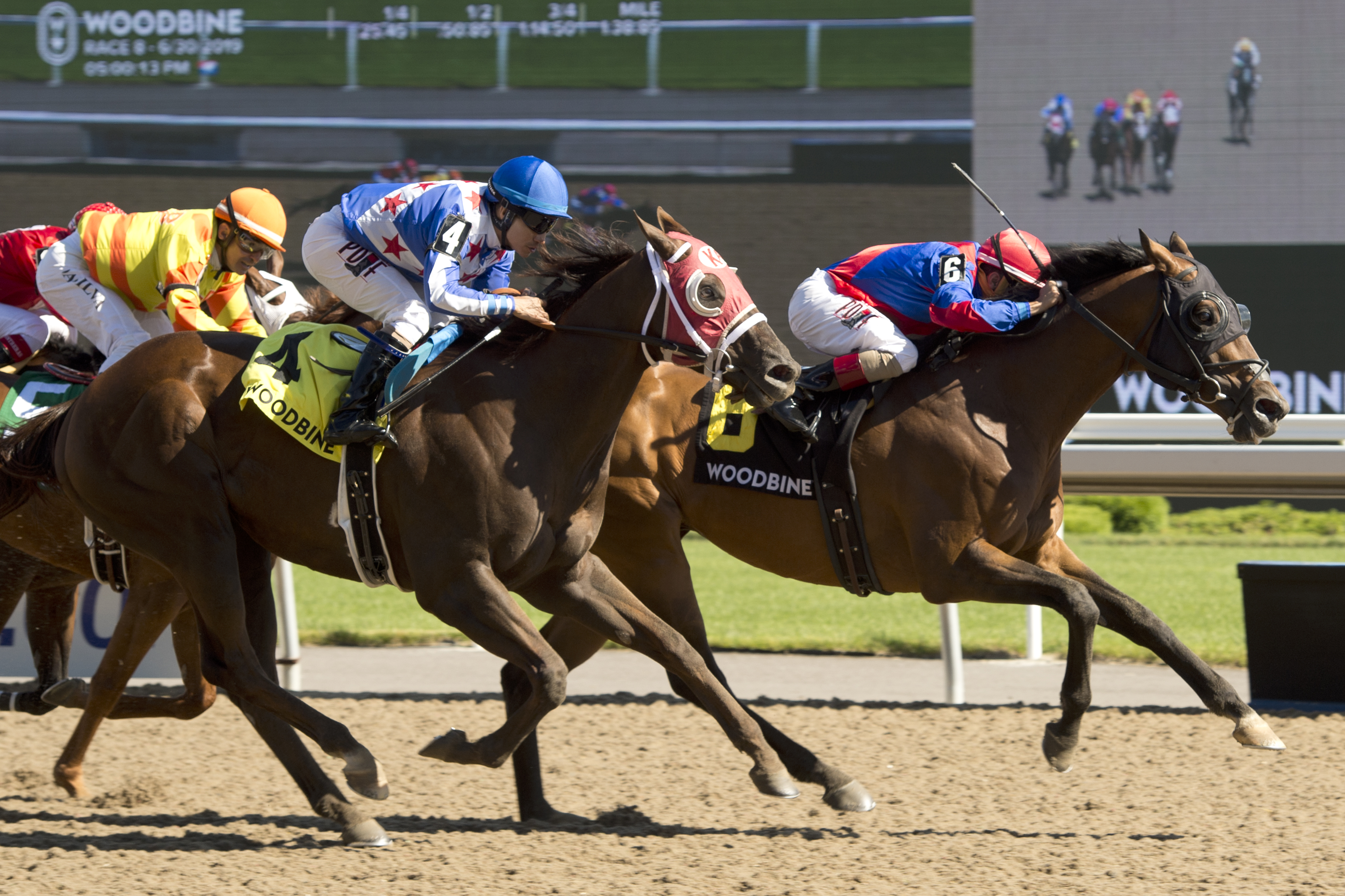 Are You Kidding Me wins the 2019 Dominion Day