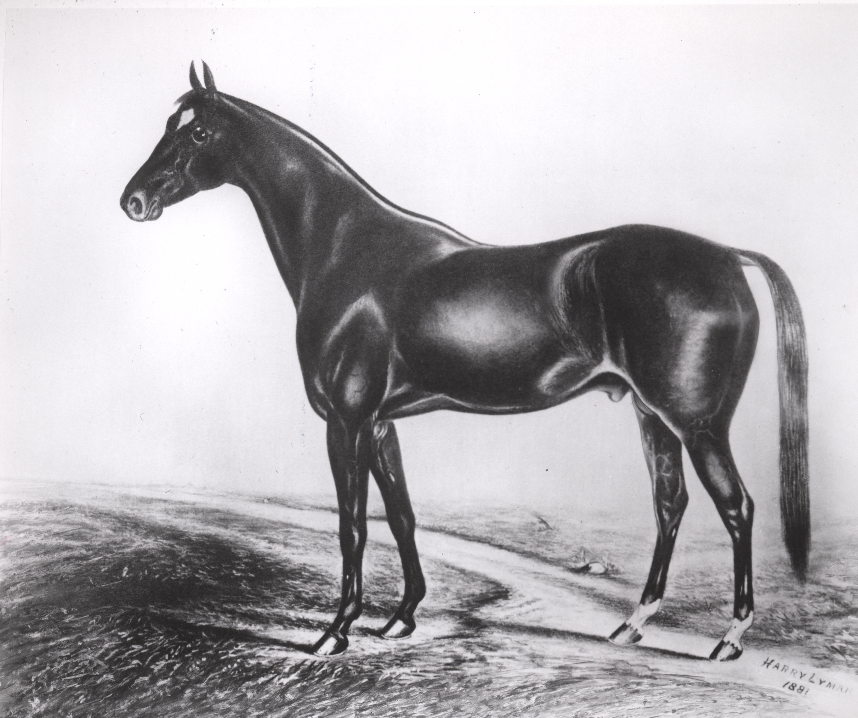 Aristides