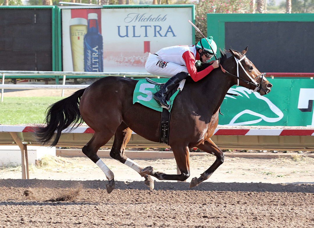 Arizona Sun wins the 2021 Ocotillo Stakes at Turf Paradise