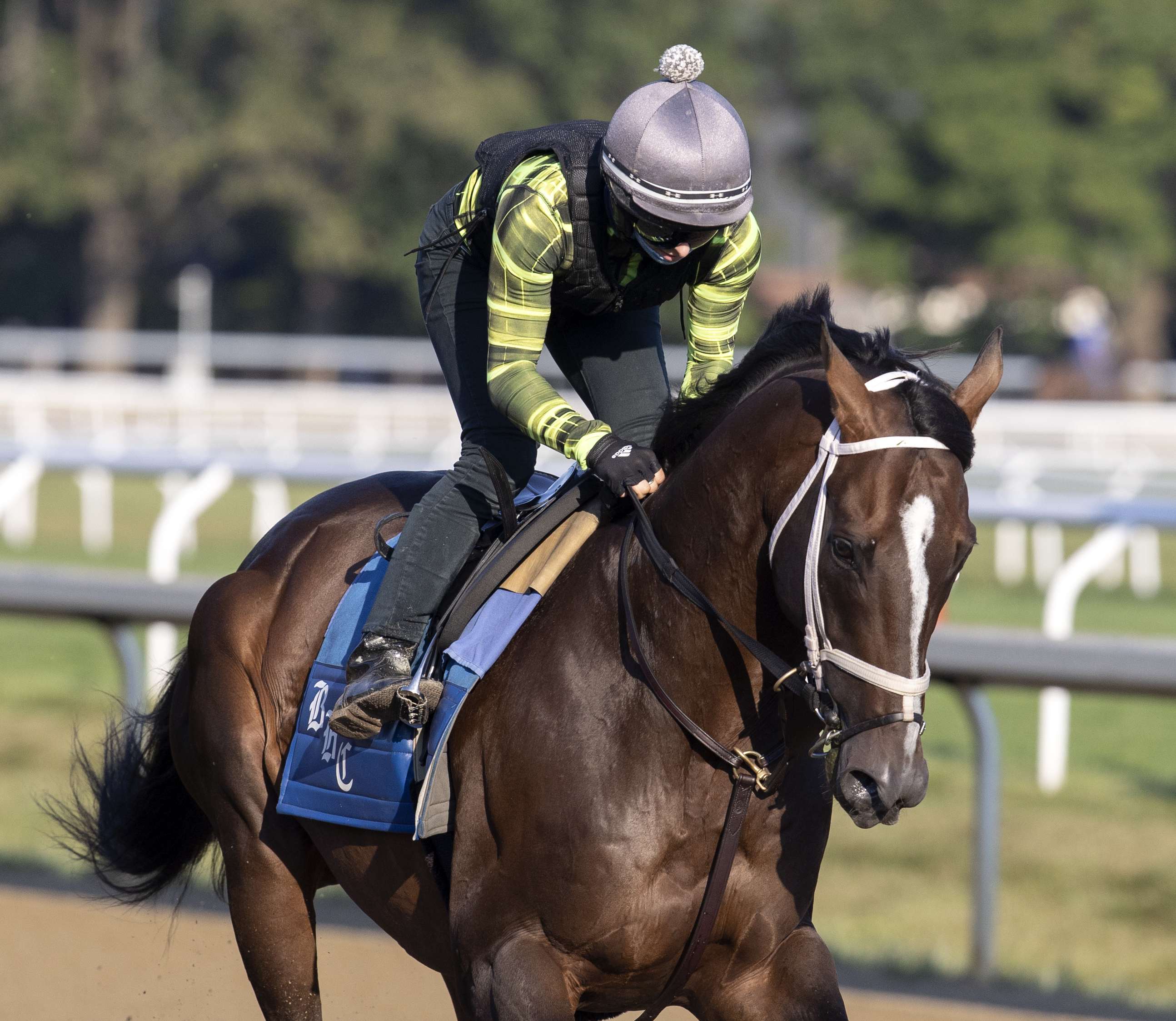 Arklow at Saratoga on Aug 14 2022