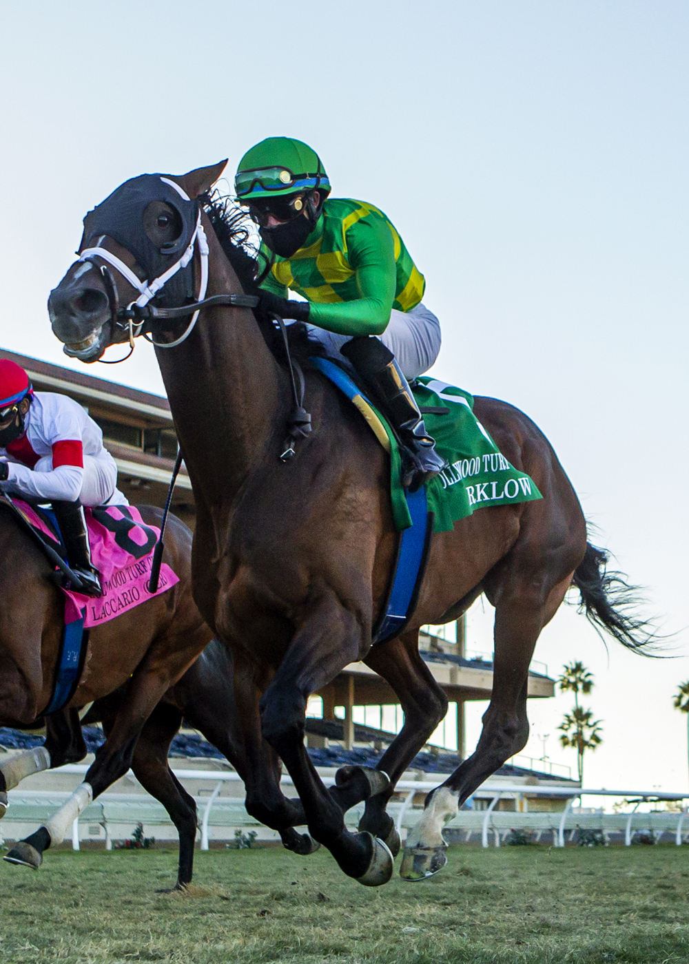 Arklow/Hollywood Turf Cup