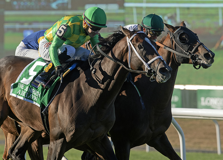 Arklow (left) wins the Joe Hirsch Turf Classic at Belmont Park