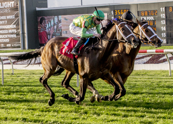 Arklow wins a Feb. 24 allowance race